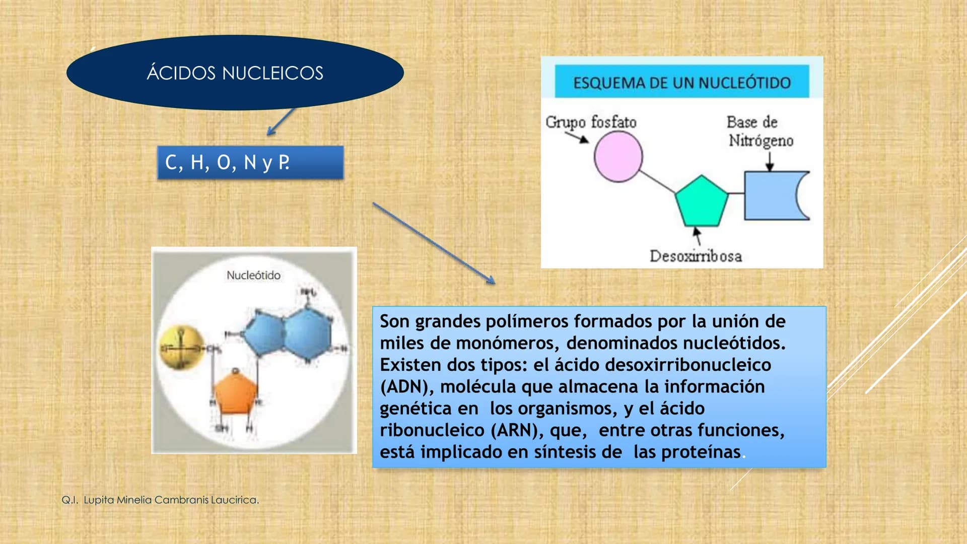 # NIVELES DE ORGANIZACIÓN
4 Nivel celular
5 Nivel tisular
6 Órganos
7 Sistemas
8 Individuos
3 Nivel subcelular
2 Nivel molecular
1 N