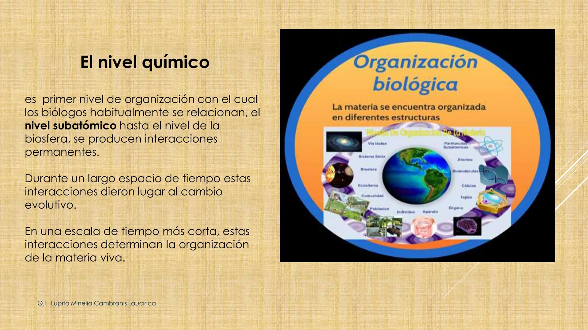 # NIVELES DE ORGANIZACIÓN
4 Nivel celular
5 Nivel tisular
6 Órganos
7 Sistemas
8 Individuos
3 Nivel subcelular
2 Nivel molecular
1 N