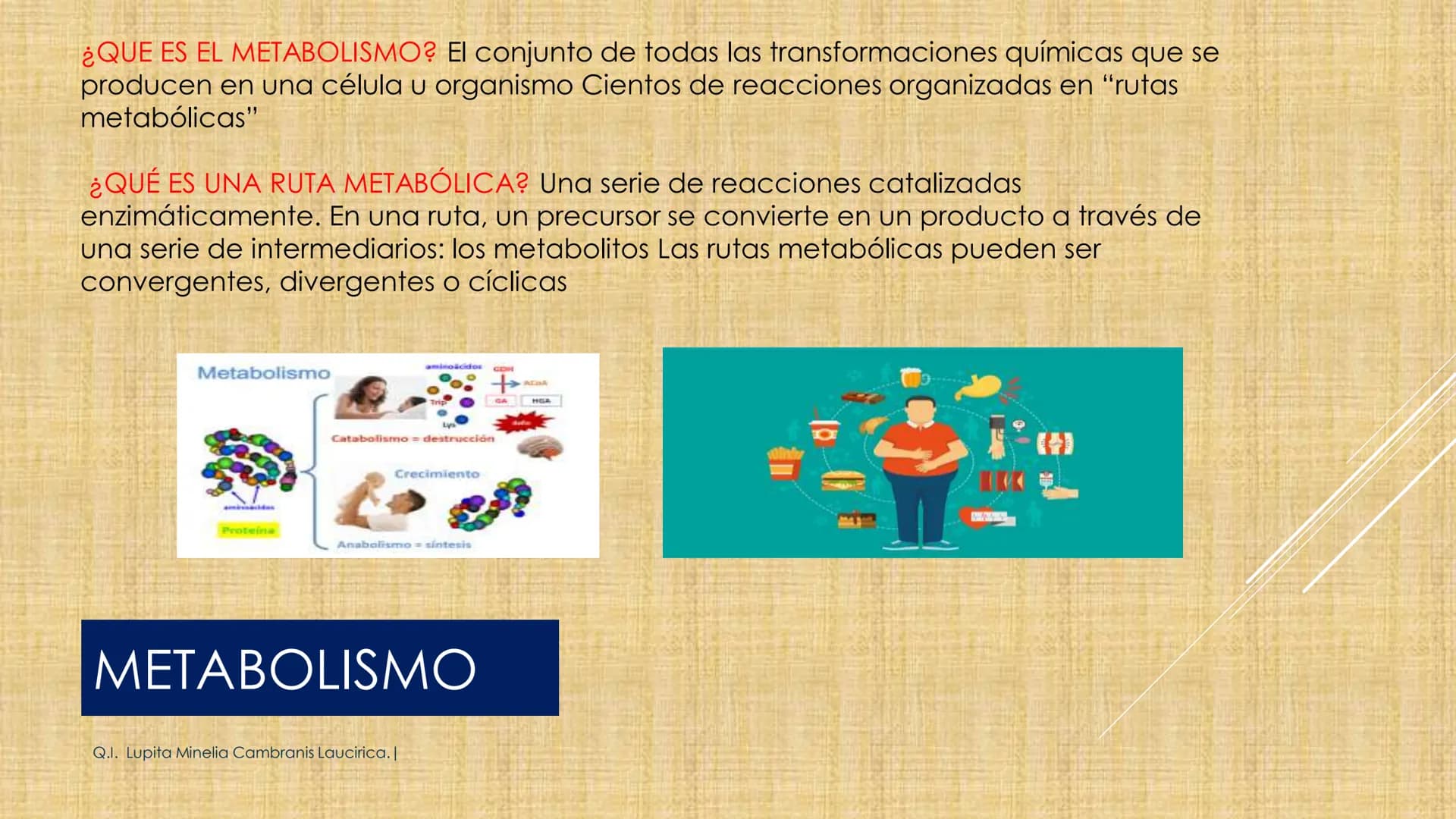 # NIVELES DE ORGANIZACIÓN
4 Nivel celular
5 Nivel tisular
6 Órganos
7 Sistemas
8 Individuos
3 Nivel subcelular
2 Nivel molecular
1 N