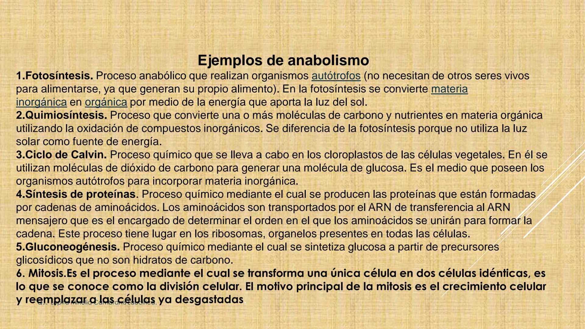 # NIVELES DE ORGANIZACIÓN
4 Nivel celular
5 Nivel tisular
6 Órganos
7 Sistemas
8 Individuos
3 Nivel subcelular
2 Nivel molecular
1 N