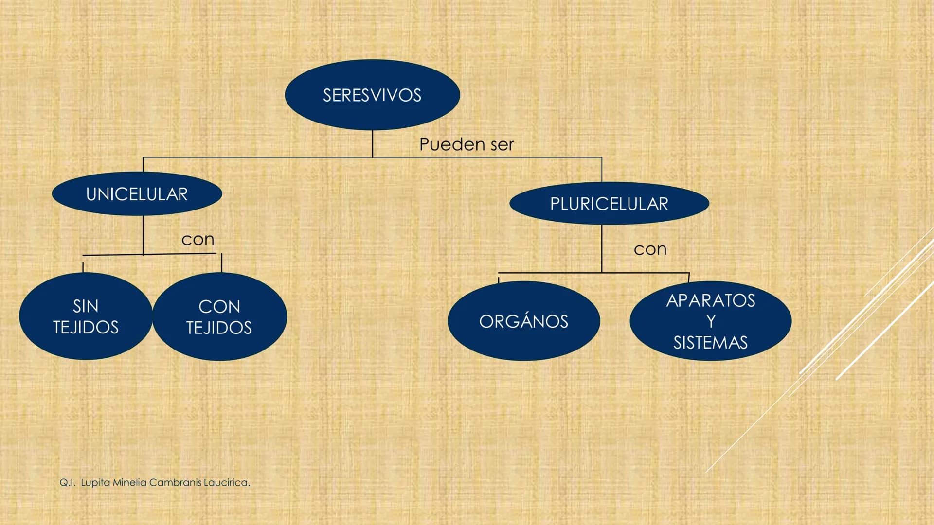 # NIVELES DE ORGANIZACIÓN
4 Nivel celular
5 Nivel tisular
6 Órganos
7 Sistemas
8 Individuos
3 Nivel subcelular
2 Nivel molecular
1 N