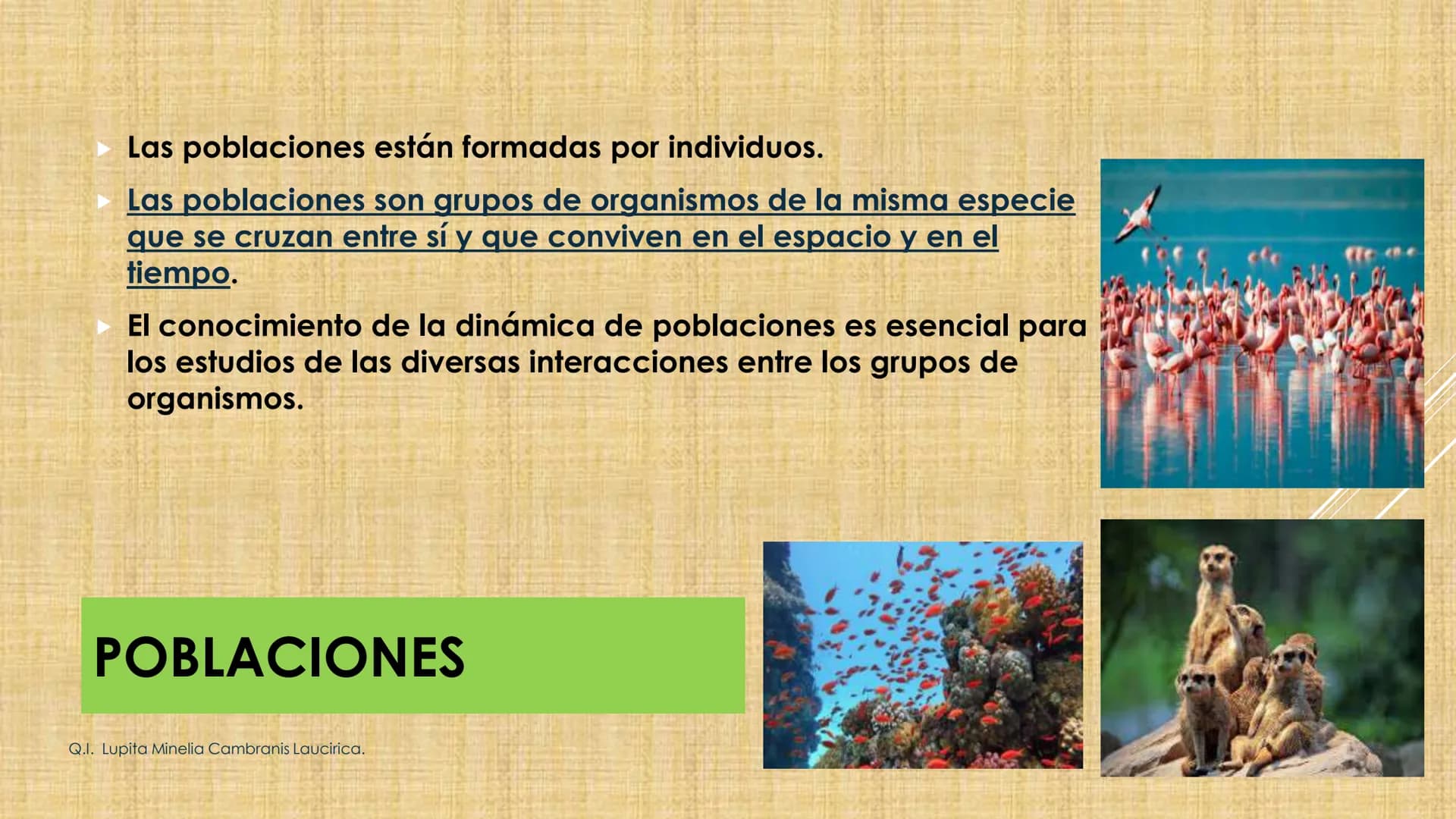 # NIVELES DE ORGANIZACIÓN
4 Nivel celular
5 Nivel tisular
6 Órganos
7 Sistemas
8 Individuos
3 Nivel subcelular
2 Nivel molecular
1 N