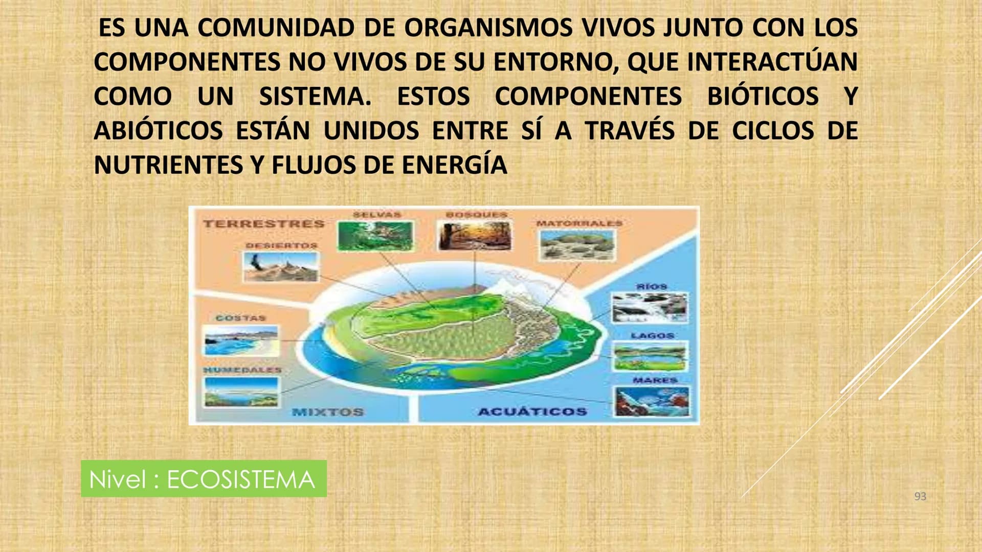 # NIVELES DE ORGANIZACIÓN
4 Nivel celular
5 Nivel tisular
6 Órganos
7 Sistemas
8 Individuos
3 Nivel subcelular
2 Nivel molecular
1 N