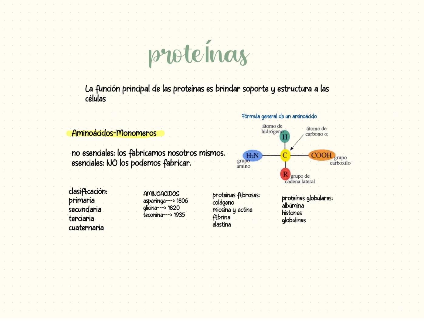proteínas
La función principal de las proteínas es brindar soporte y estructura a las
células
Fórmula general de un aminoácido
Aminoácidos-M