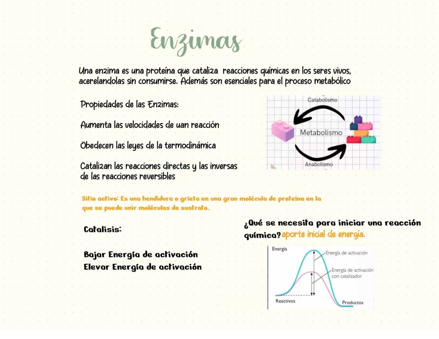 proteínas
La función principal de las proteínas es brindar soporte y estructura a las
células
Fórmula general de un aminoácido
Aminoácidos-M