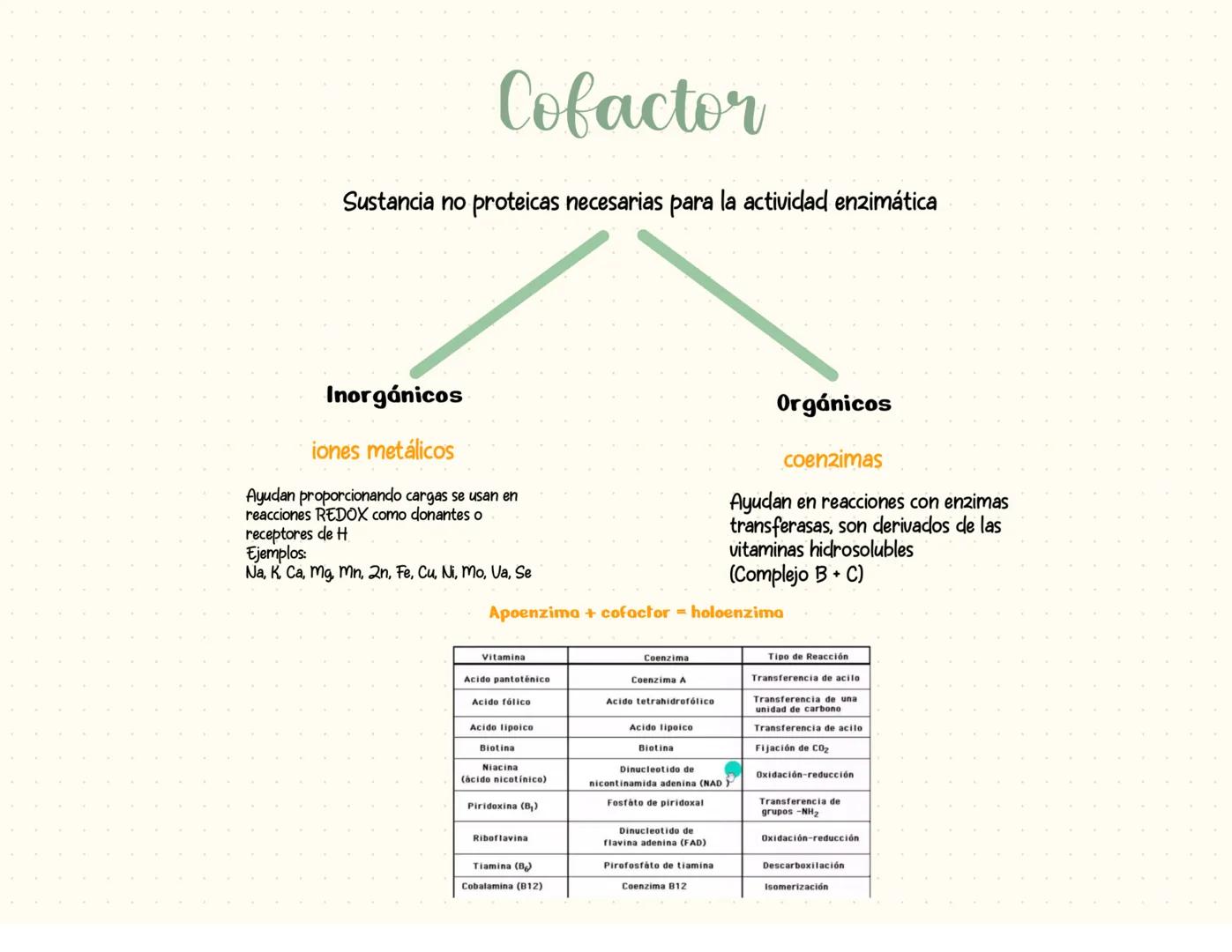 proteínas
La función principal de las proteínas es brindar soporte y estructura a las
células
Fórmula general de un aminoácido
Aminoácidos-M