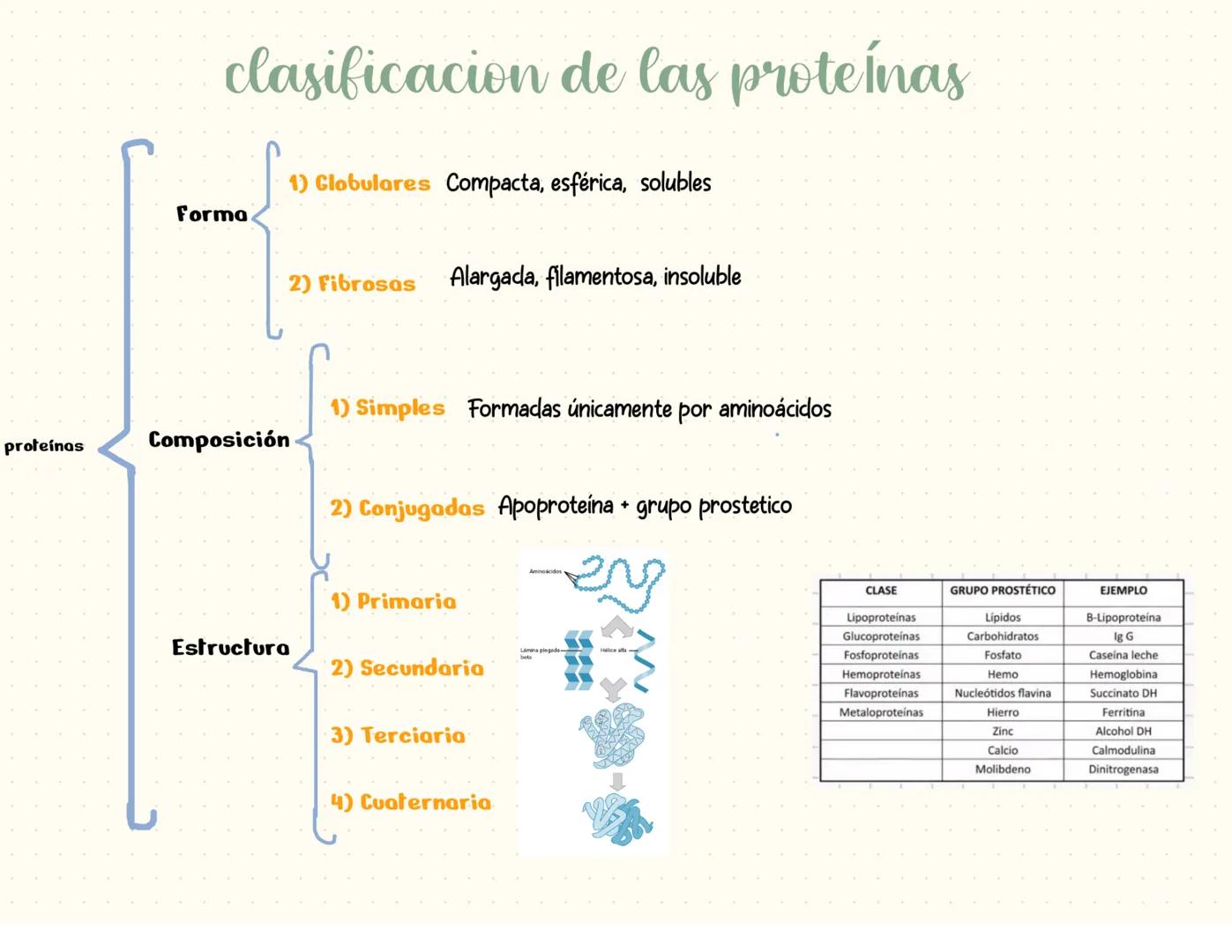 proteínas
La función principal de las proteínas es brindar soporte y estructura a las
células
Fórmula general de un aminoácido
Aminoácidos-M