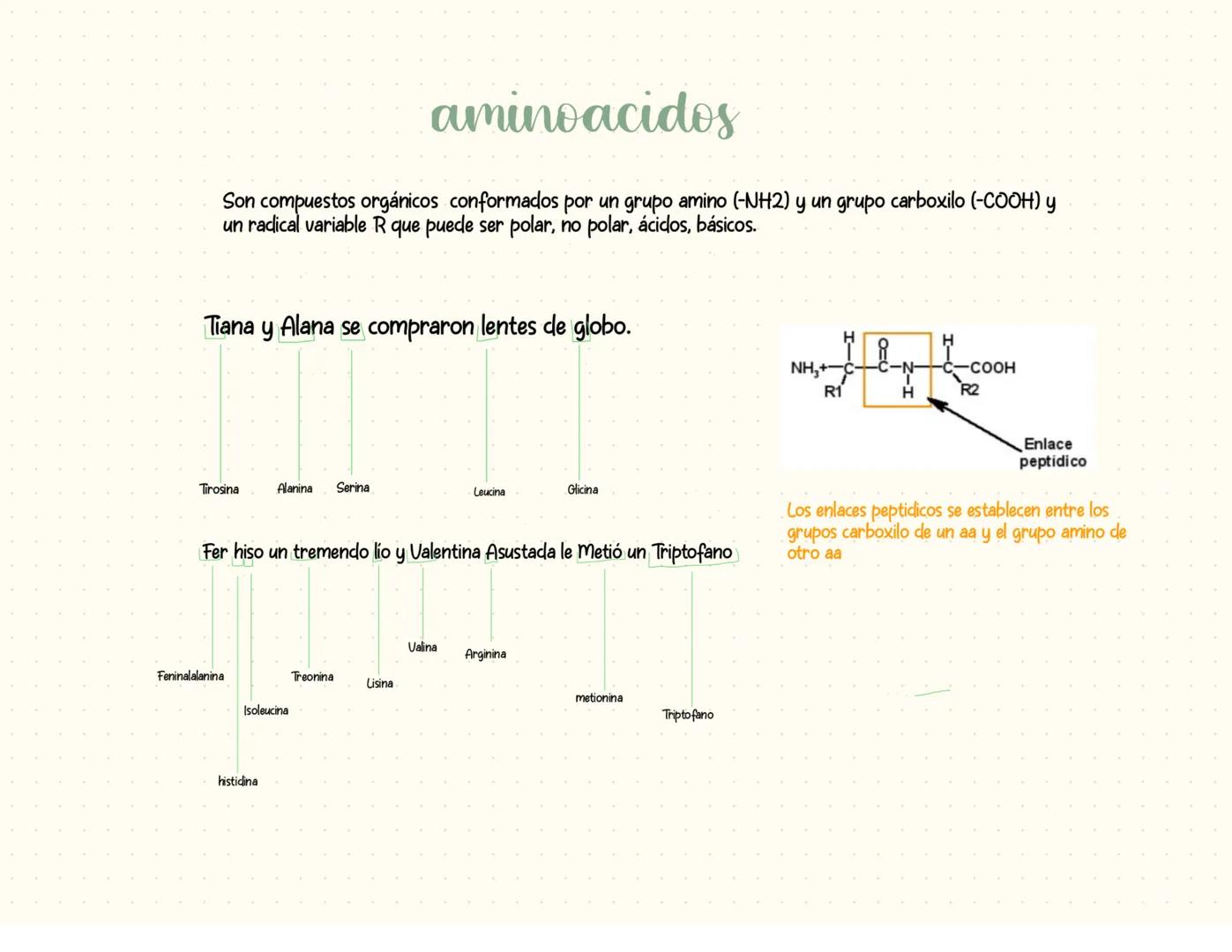 proteínas
La función principal de las proteínas es brindar soporte y estructura a las
células
Fórmula general de un aminoácido
Aminoácidos-M
