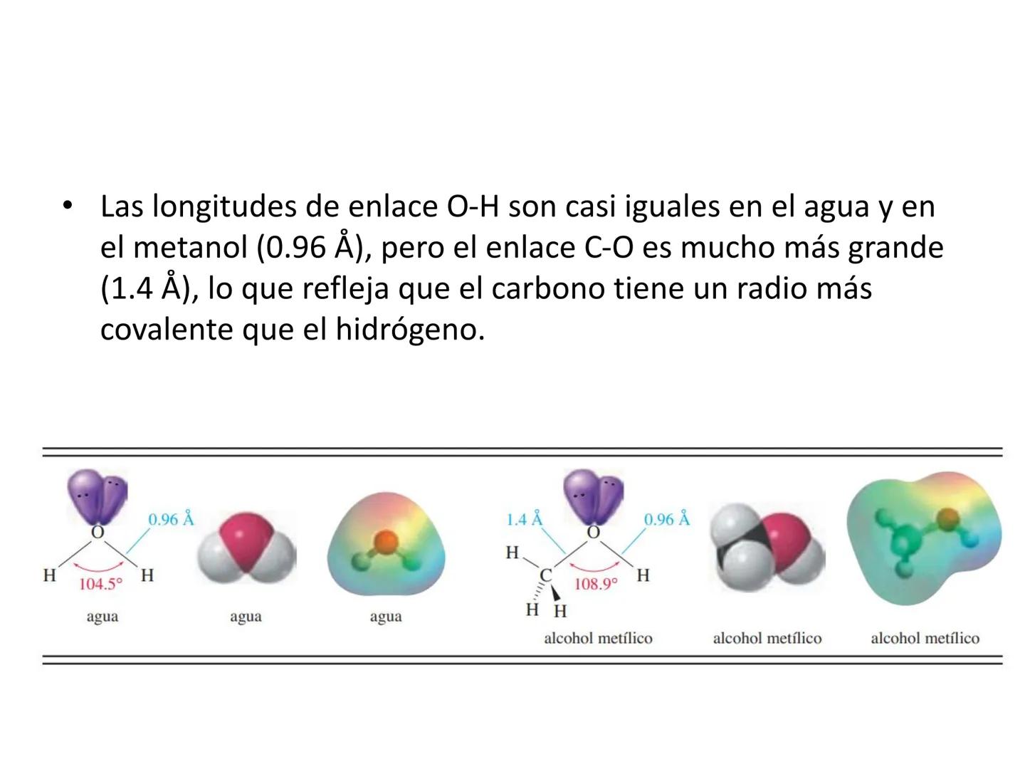 El anillo bencénico y propiedades aromáticas
Nomenclatura de los compuestos del benceno •
Descubrimiento del Benceno
En 1825, Michael Farada
