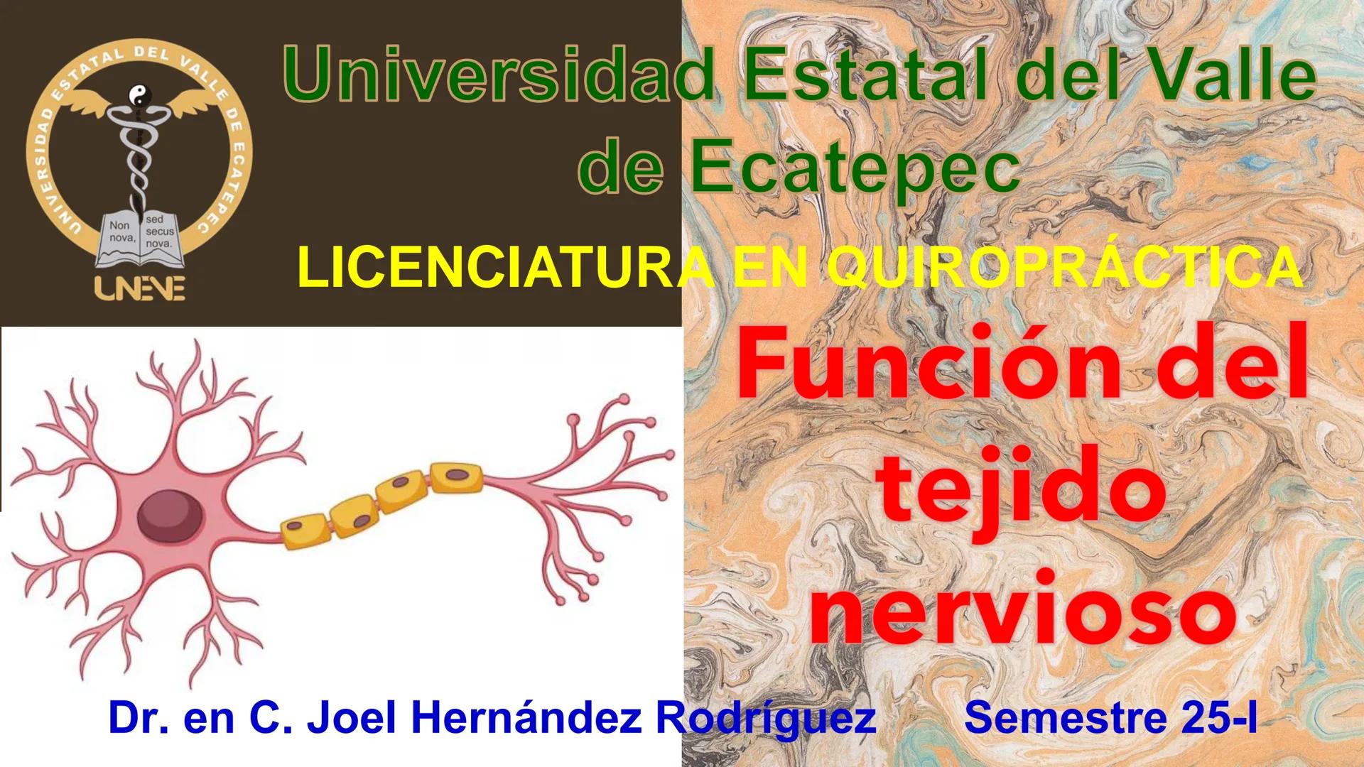 --- OCR Start ---
YATA DEL VALLE DE ECATEP
ES
UNIVERSIDAD
sed
Non
secus
nova,
nova.
UNEVE
Universidad Estatal del Valle
de Ecatepec
LICENCIA