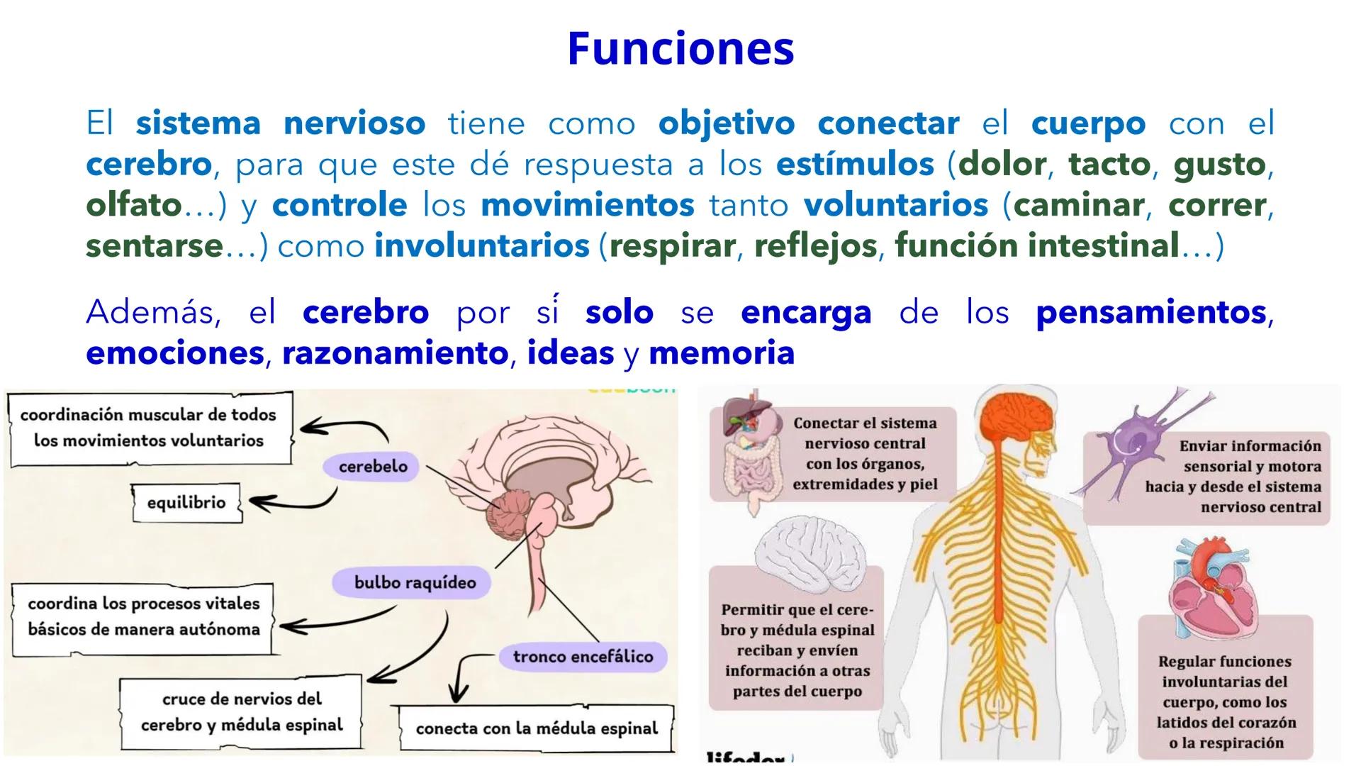--- OCR Start ---
YATA DEL VALLE DE ECATEP
ES
UNIVERSIDAD
sed
Non
secus
nova,
nova.
UNEVE
Universidad Estatal del Valle
de Ecatepec
LICENCIA