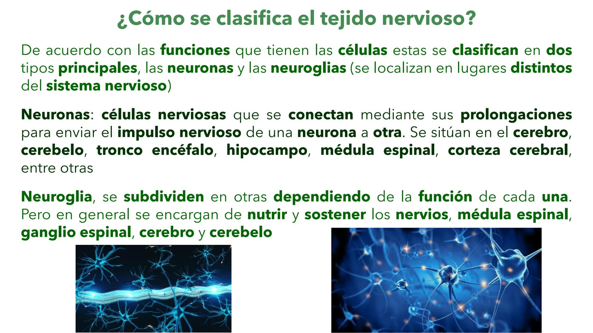 --- OCR Start ---
YATA DEL VALLE DE ECATEP
ES
UNIVERSIDAD
sed
Non
secus
nova,
nova.
UNEVE
Universidad Estatal del Valle
de Ecatepec
LICENCIA