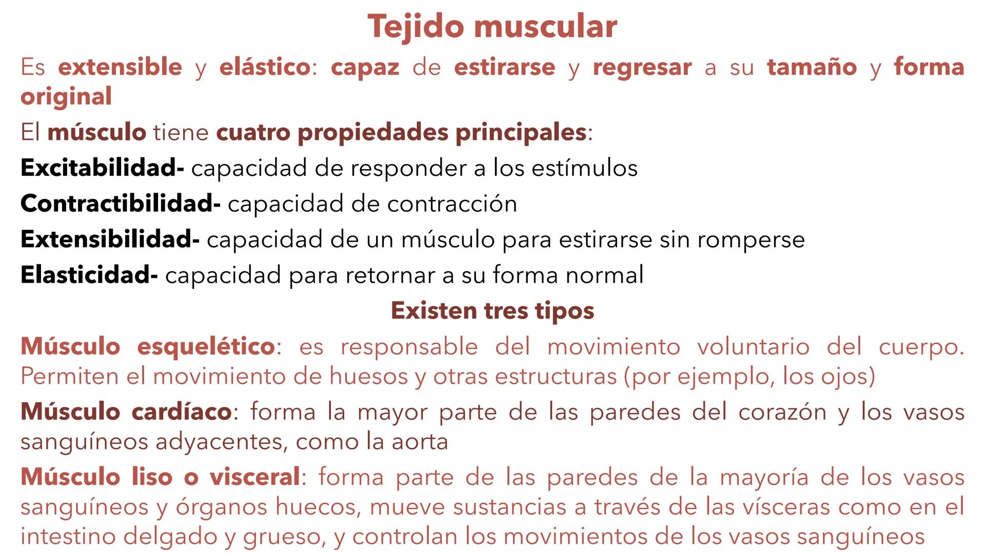 --- OCR Start ---
YATA DEL VALLE DE ECATEP
ES
UNIVERSIDAD
sed
Non
secus
nova,
nova.
UNEVE
Universidad Estatal del Valle
de Ecatepec
LICENCIA