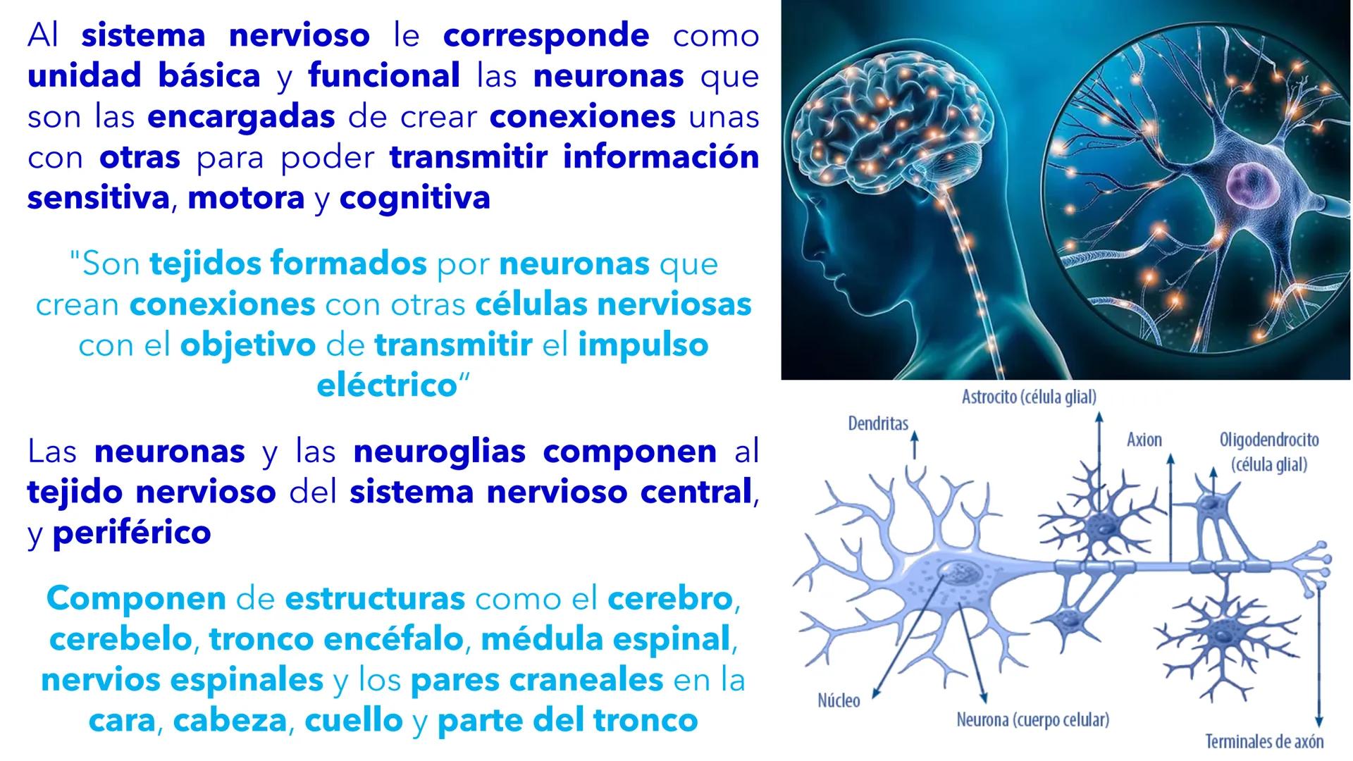 --- OCR Start ---
YATA DEL VALLE DE ECATEP
ES
UNIVERSIDAD
sed
Non
secus
nova,
nova.
UNEVE
Universidad Estatal del Valle
de Ecatepec
LICENCIA