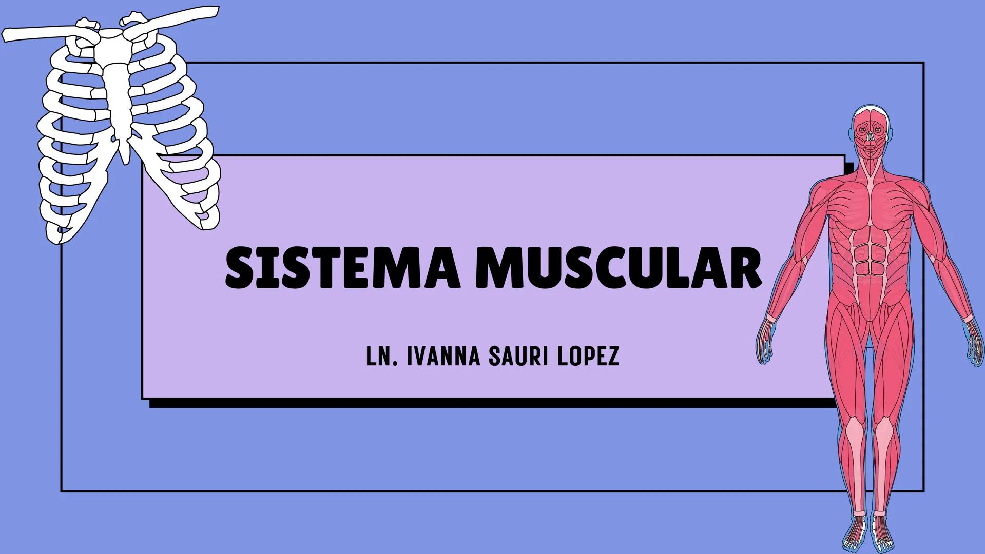 # SISTEMA MUSCULAR
LN. IVANNA SAURI LOPEZ La fisiología muscular estudia cómo se
contraen y relajan los músculos para mover
las partes del