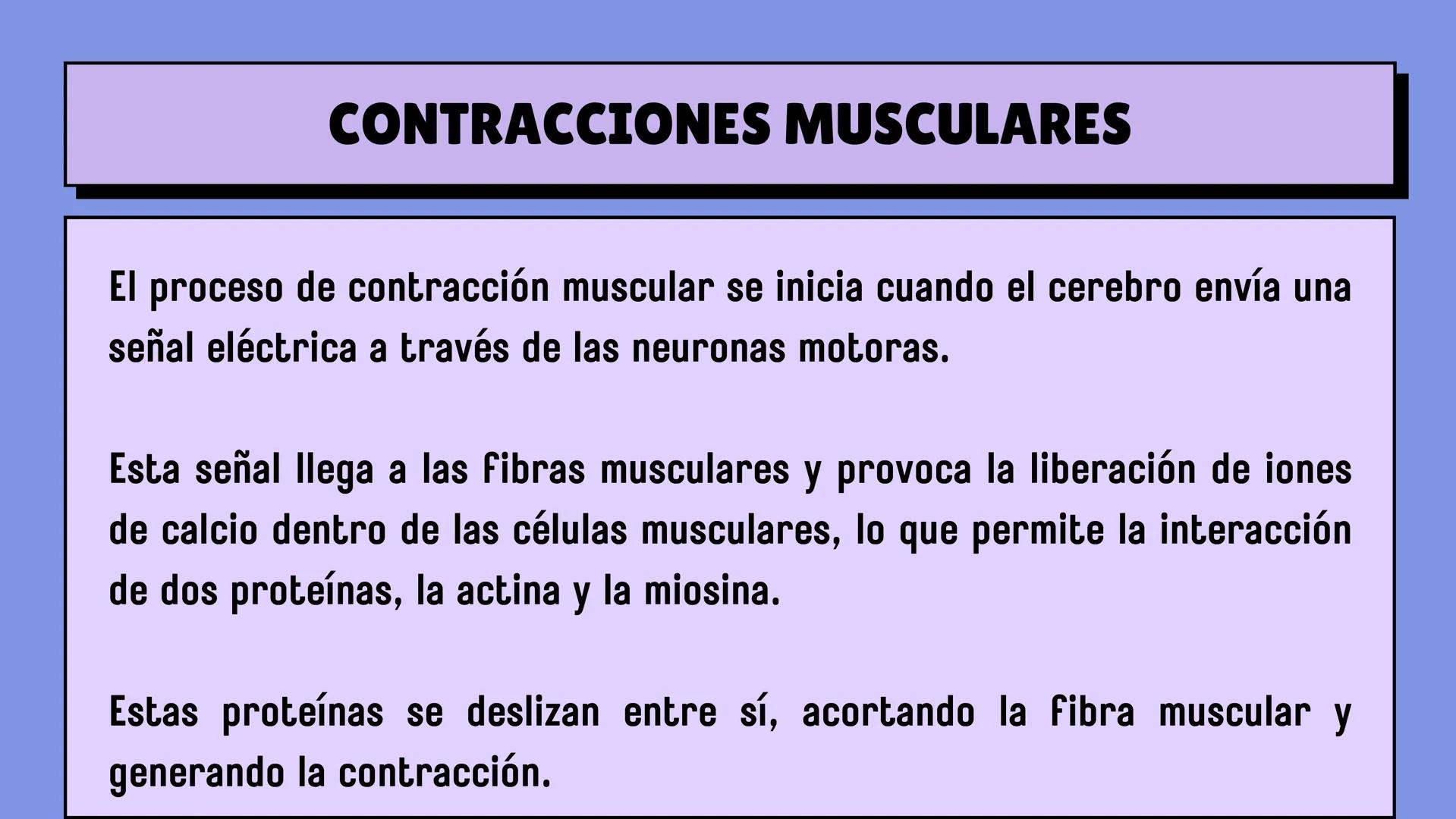 # SISTEMA MUSCULAR
LN. IVANNA SAURI LOPEZ La fisiología muscular estudia cómo se
contraen y relajan los músculos para mover
las partes del