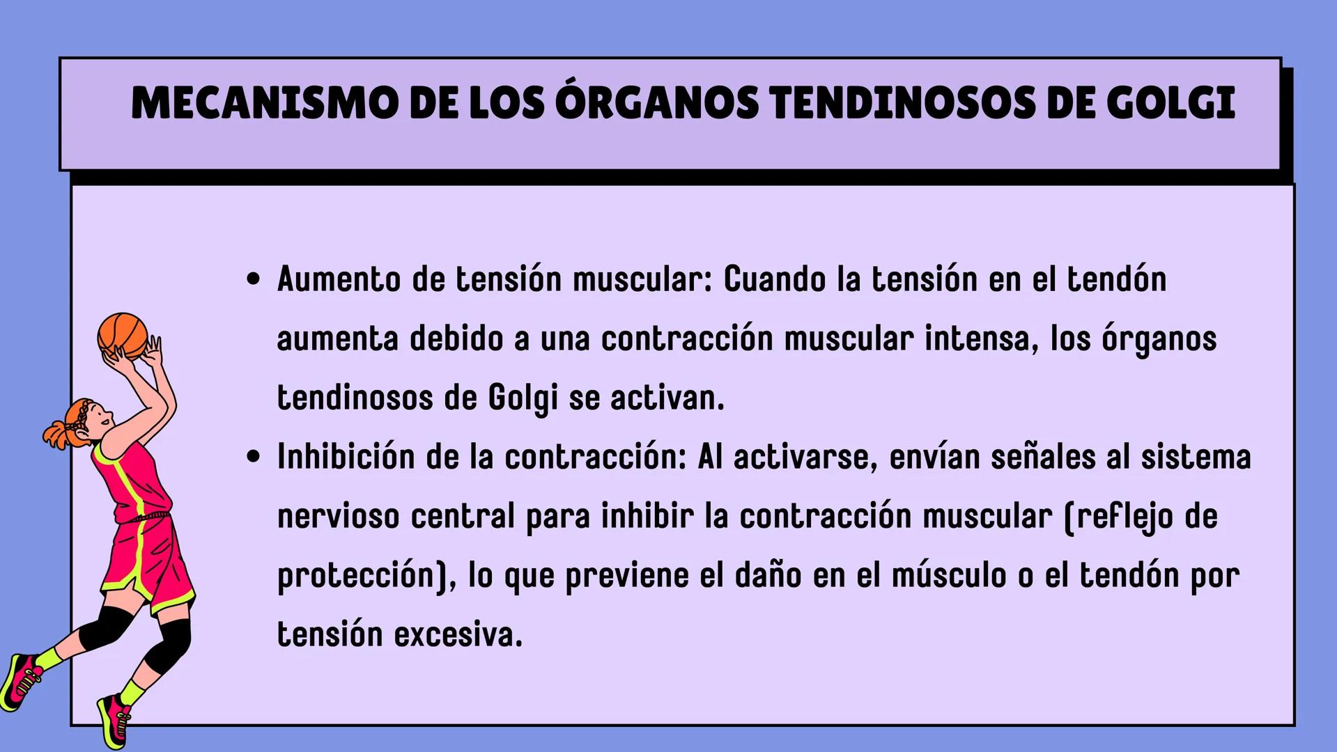 # SISTEMA MUSCULAR
LN. IVANNA SAURI LOPEZ La fisiología muscular estudia cómo se
contraen y relajan los músculos para mover
las partes del