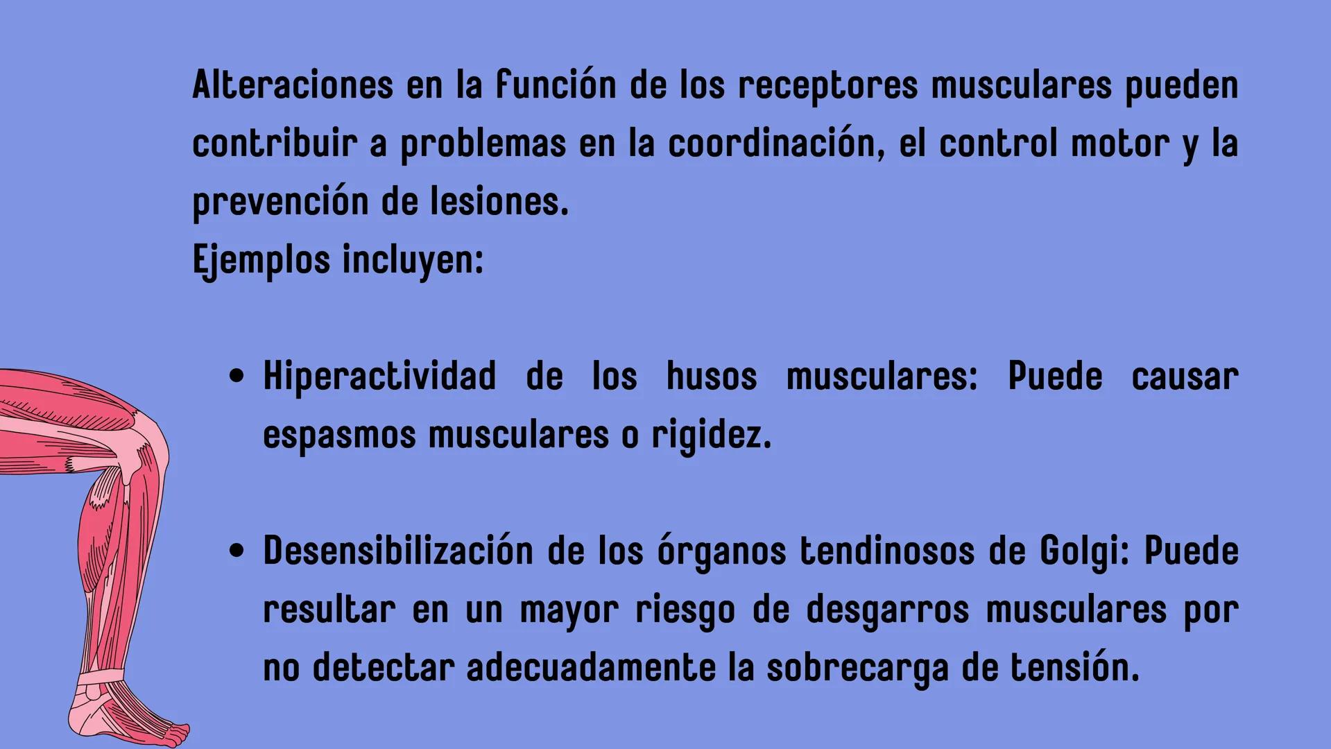 # SISTEMA MUSCULAR
LN. IVANNA SAURI LOPEZ La fisiología muscular estudia cómo se
contraen y relajan los músculos para mover
las partes del