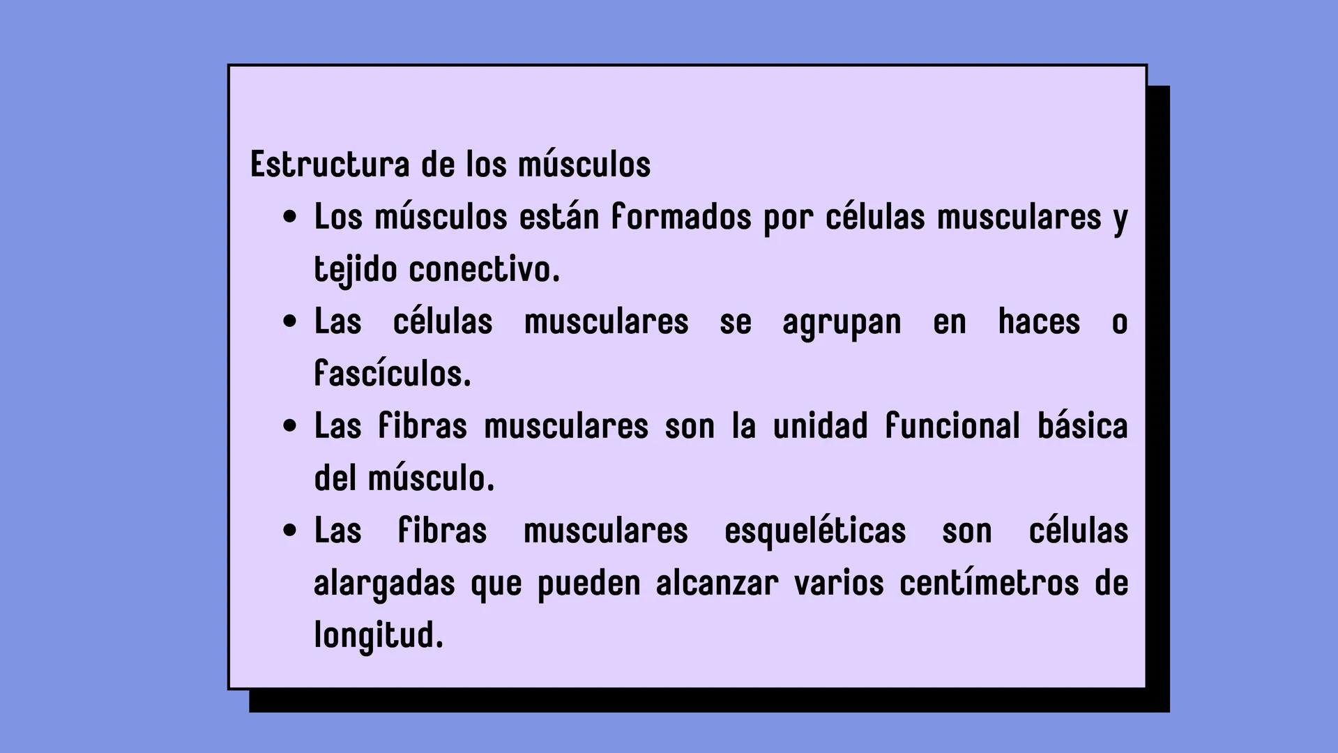 # SISTEMA MUSCULAR
LN. IVANNA SAURI LOPEZ La fisiología muscular estudia cómo se
contraen y relajan los músculos para mover
las partes del