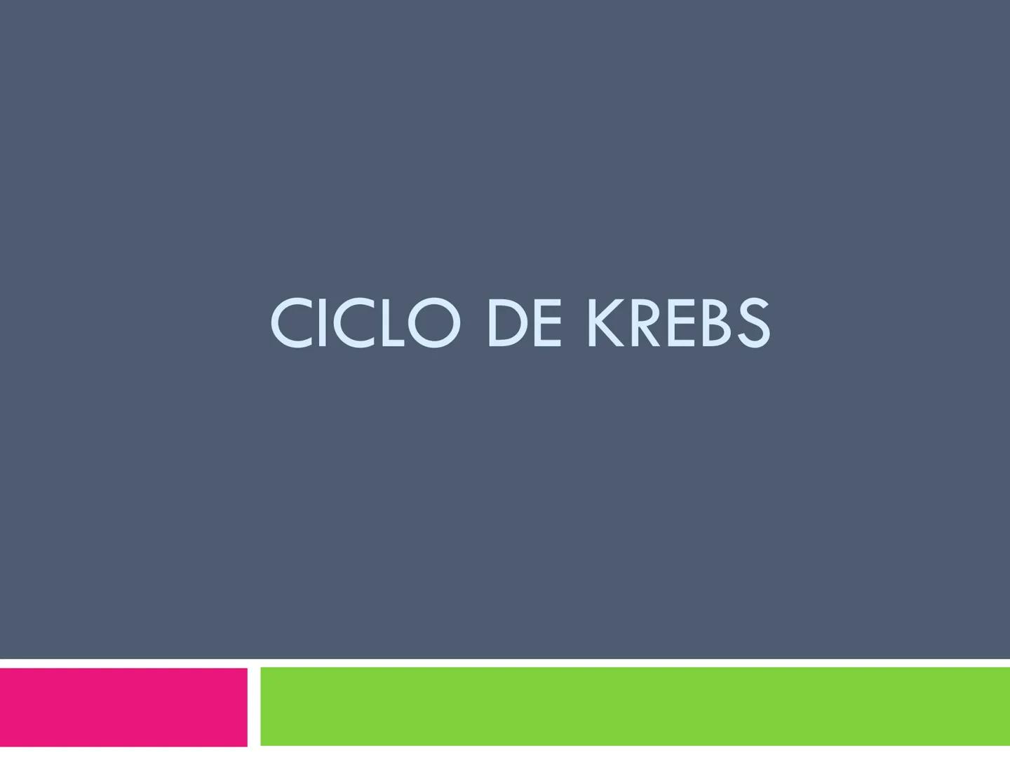 # CICLO DE KREBS •El ciclo fue propuesto por Hans Krebs en 1937.
•Es la vía de oxidación de la mayor parte de carbohidratos, ácidos grasos y