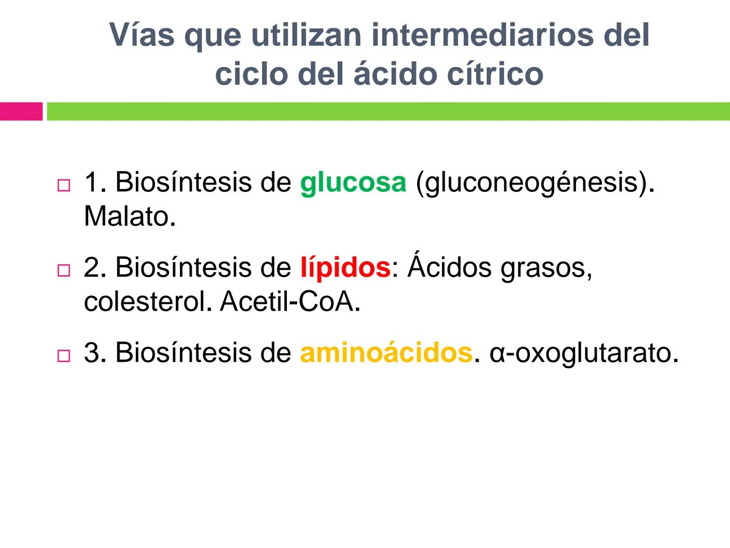 # CICLO DE KREBS •El ciclo fue propuesto por Hans Krebs en 1937.
•Es la vía de oxidación de la mayor parte de carbohidratos, ácidos grasos y