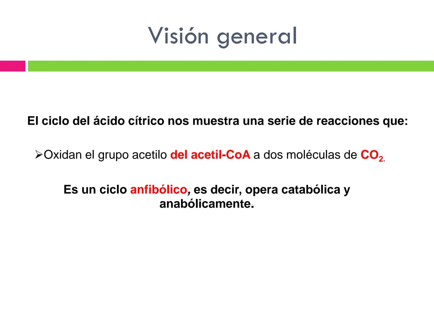 # CICLO DE KREBS •El ciclo fue propuesto por Hans Krebs en 1937.
•Es la vía de oxidación de la mayor parte de carbohidratos, ácidos grasos y