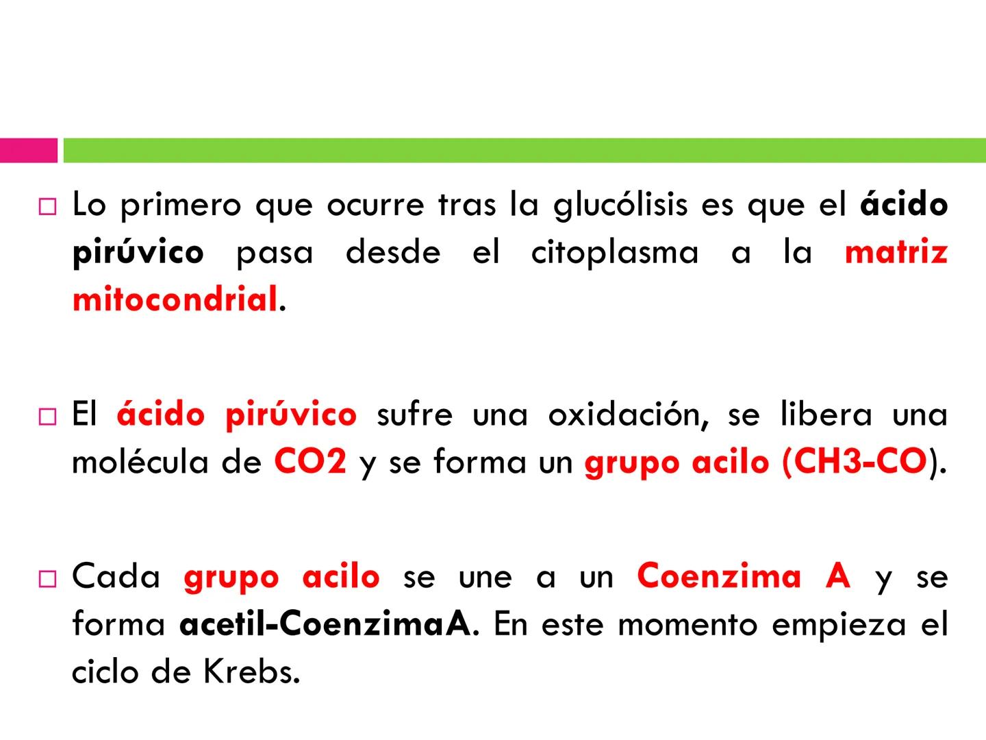 # CICLO DE KREBS •El ciclo fue propuesto por Hans Krebs en 1937.
•Es la vía de oxidación de la mayor parte de carbohidratos, ácidos grasos y