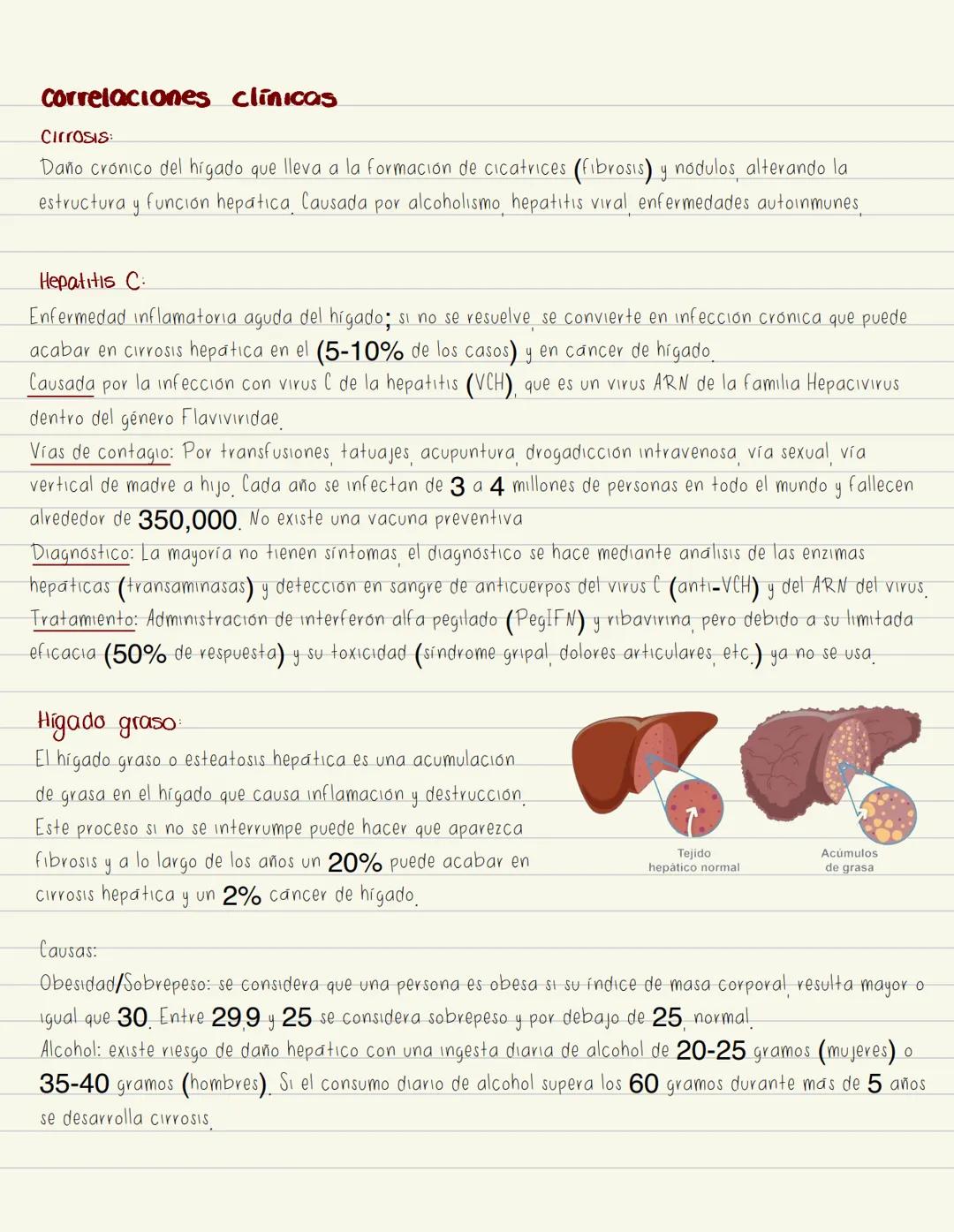 # Higado
Hepatoci tos
Células parenquimatosas.
principales que realizan la
mayoría de las funciones
metabolicas
Cel de Kupffer
Macrofagos