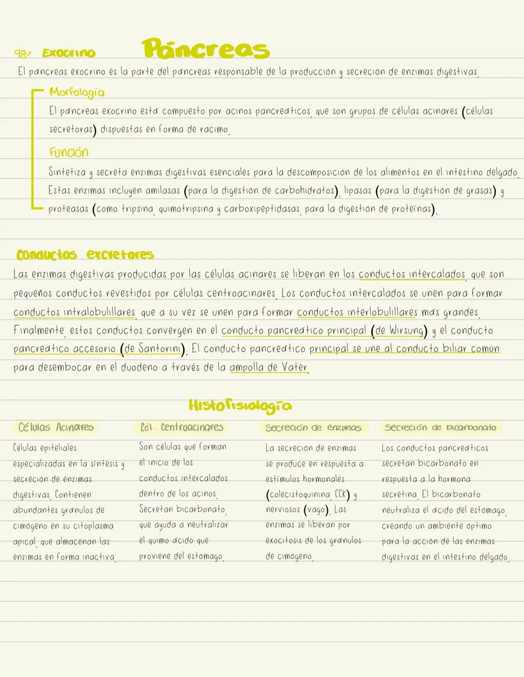 # Higado
Hepatoci tos
Células parenquimatosas.
principales que realizan la
mayoría de las funciones
metabolicas
Cel de Kupffer
Macrofagos