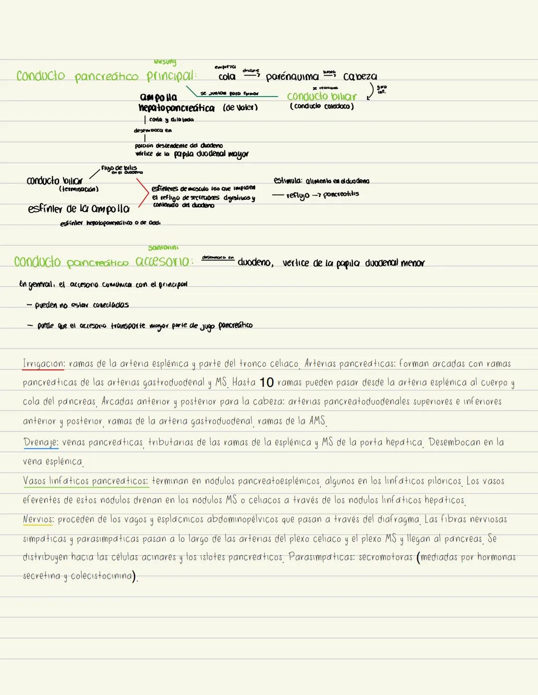 # No examen
# PÁNCREAS
Glándula digestiva accesoria alargada.
Retroperitoneal. Cubre y cruza Hromsversal) L1 y L2 (muel del plano transph