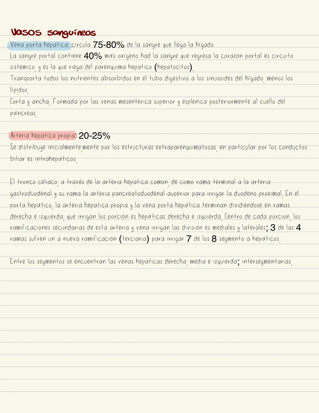 # No examen
# PÁNCREAS
Glándula digestiva accesoria alargada.
Retroperitoneal. Cubre y cruza Hromsversal) L1 y L2 (muel del plano transph
