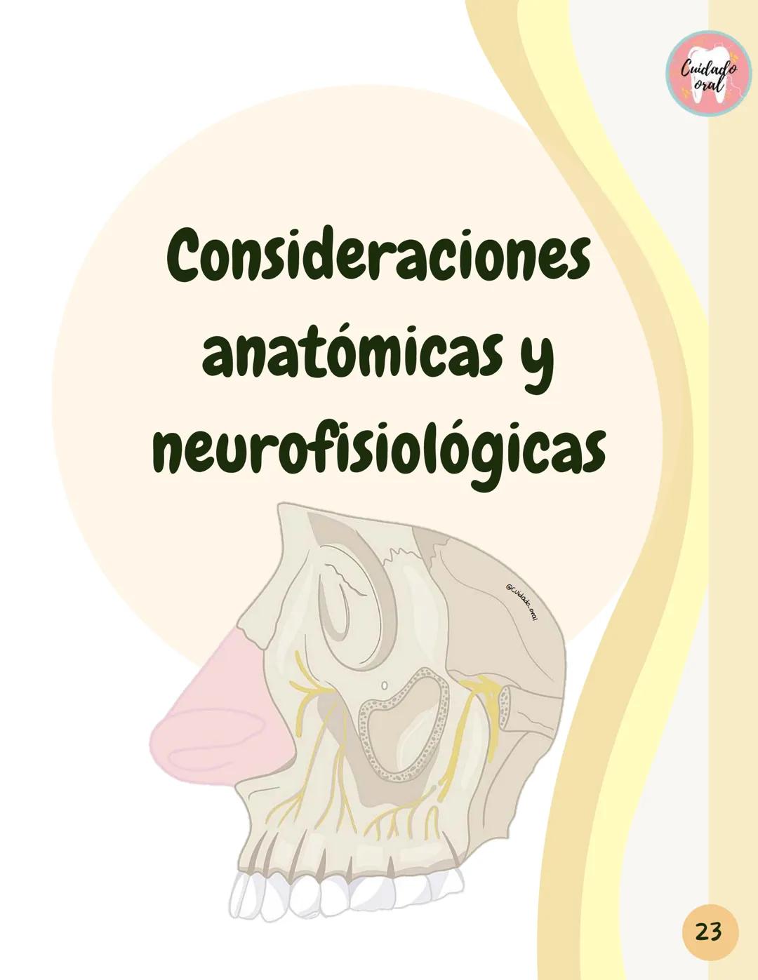 # Técnicas de
anestesia
@Cuidado_oral
@Cuidado.oral # Indice
Pagina 51 (BNAI)
Pagina 64-65 (Gol-gates)
Anestésicos locales
3-12
Considerac