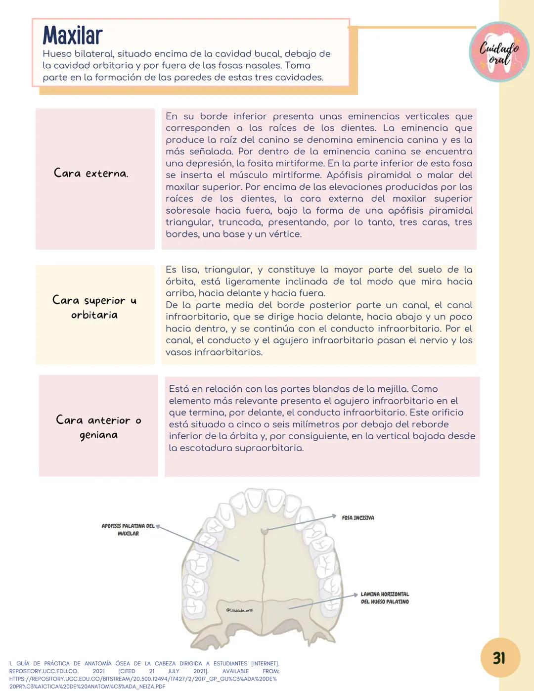 # Técnicas de
anestesia
@Cuidado_oral
@Cuidado.oral # Indice
Pagina 51 (BNAI)
Pagina 64-65 (Gol-gates)
Anestésicos locales
3-12
Considerac