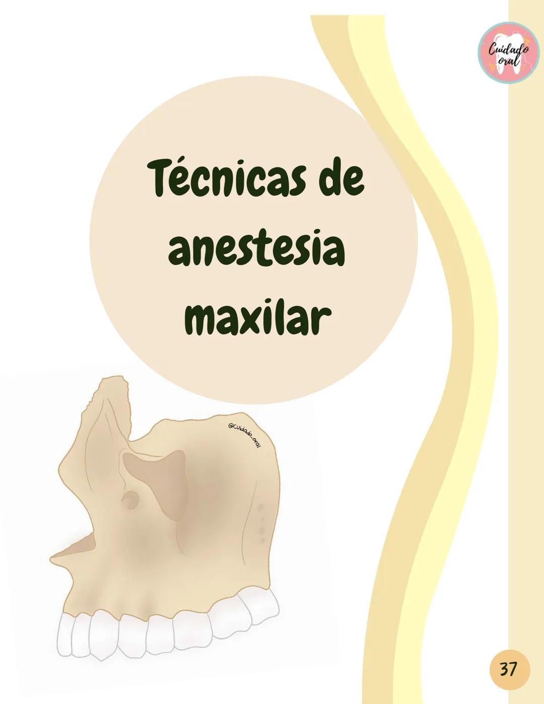 # Técnicas de
anestesia
@Cuidado_oral
@Cuidado.oral # Indice
Pagina 51 (BNAI)
Pagina 64-65 (Gol-gates)
Anestésicos locales
3-12
Considerac