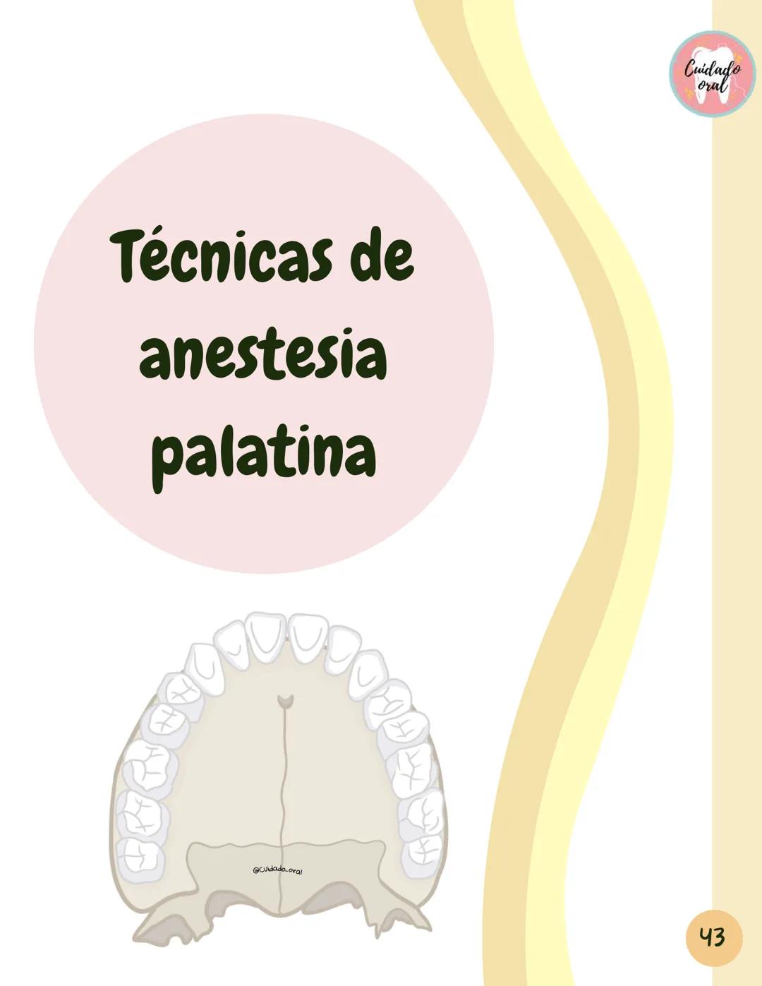 # Técnicas de
anestesia
@Cuidado_oral
@Cuidado.oral # Indice
Pagina 51 (BNAI)
Pagina 64-65 (Gol-gates)
Anestésicos locales
3-12
Considerac