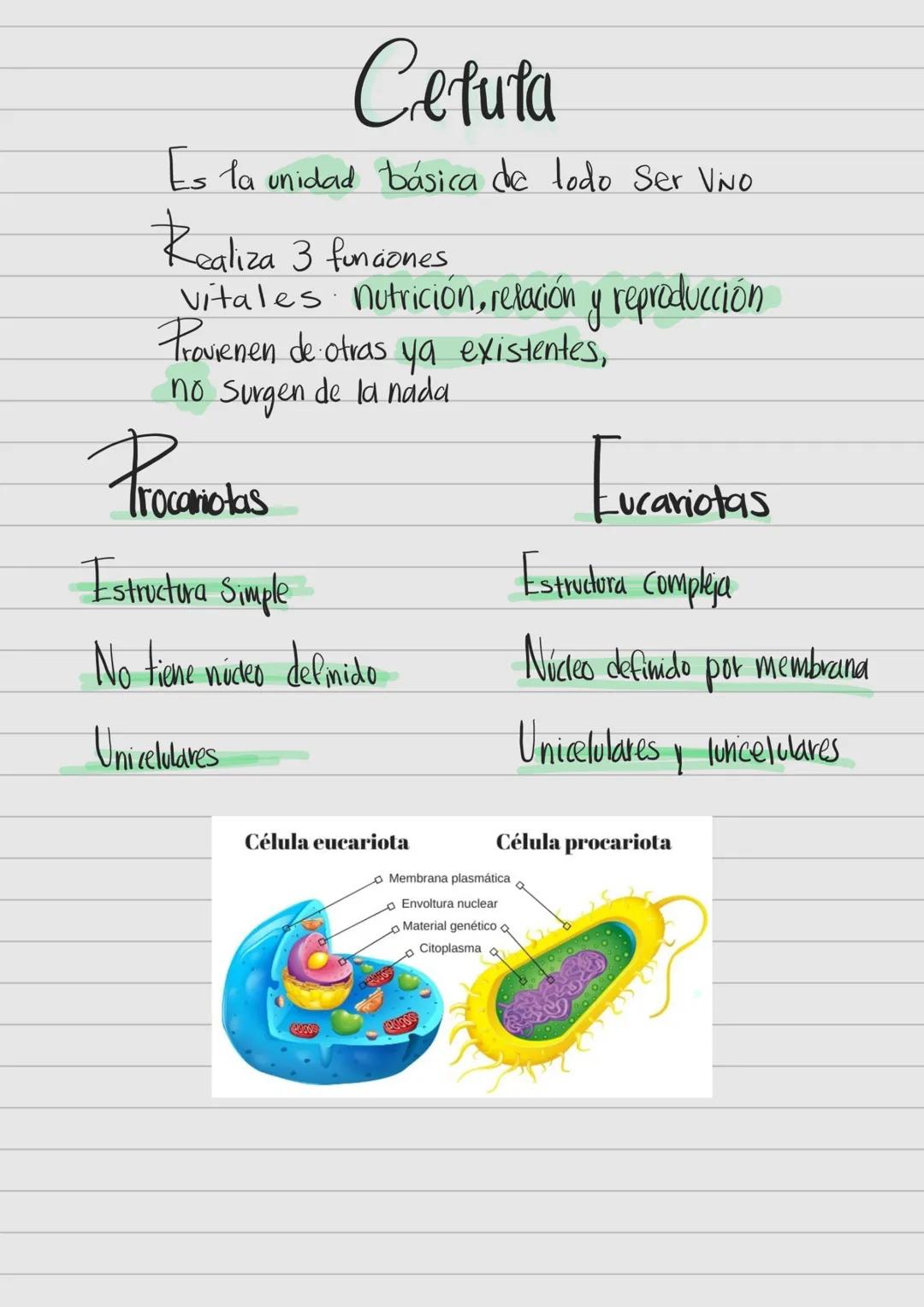 # Celula
Es la unidad básica de todo Ser Vivo
Realiza 3 fungones
vitales nutrición, relación y reproducción
Provienen de otras ya existen