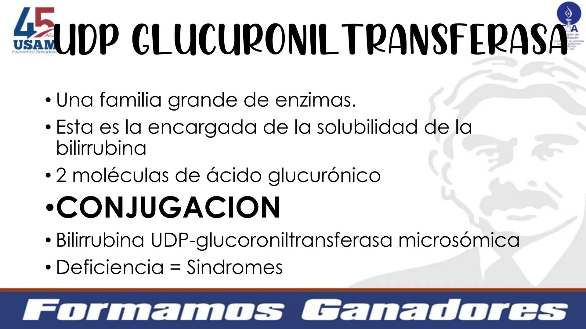 # Metabolismo de la bilirrubina
Dra. Vanessa Iglesias De vez en cuando,
obsérvate con objetividad.
Ni todo lo que piensas es
cierto, ni tod