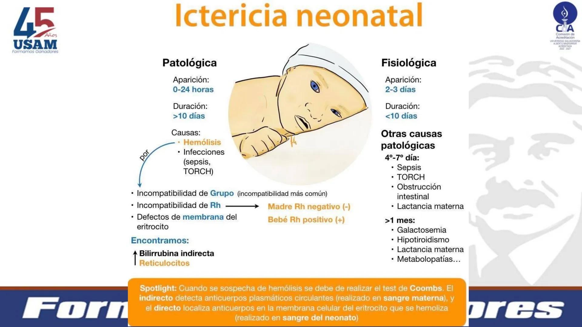 # Metabolismo de la bilirrubina
Dra. Vanessa Iglesias De vez en cuando,
obsérvate con objetividad.
Ni todo lo que piensas es
cierto, ni tod