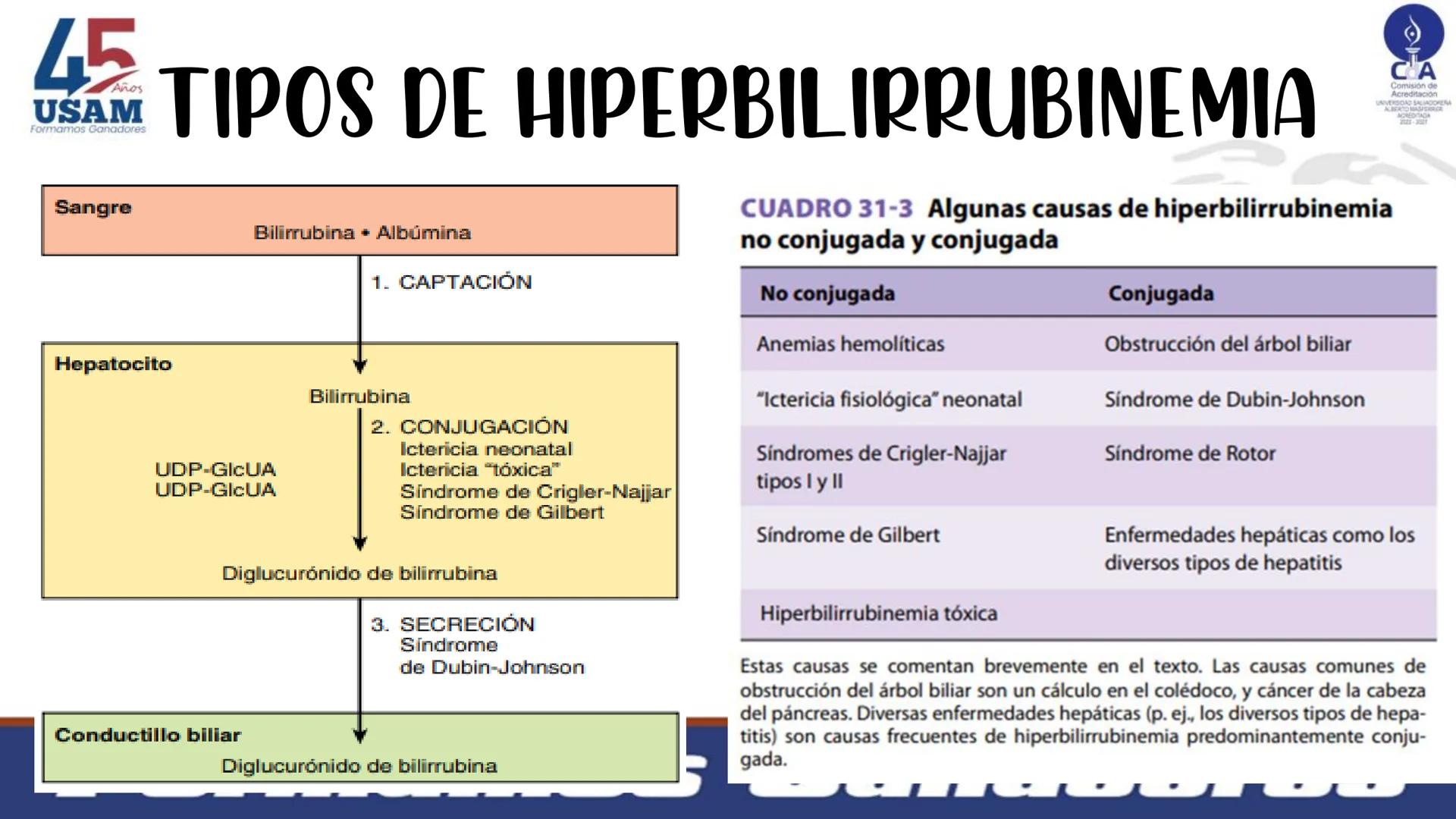 # Metabolismo de la bilirrubina
Dra. Vanessa Iglesias De vez en cuando,
obsérvate con objetividad.
Ni todo lo que piensas es
cierto, ni tod