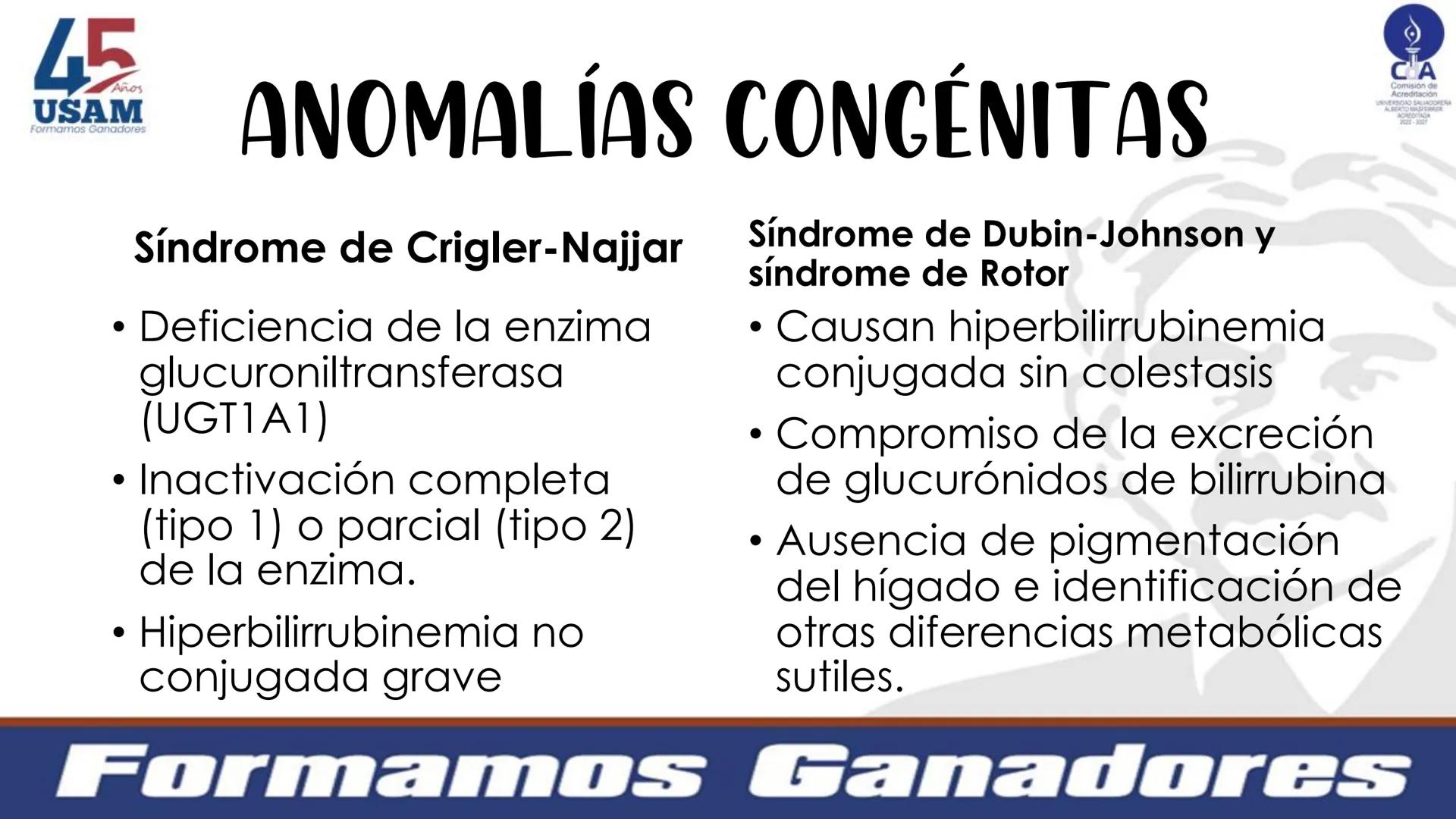 # Metabolismo de la bilirrubina
Dra. Vanessa Iglesias De vez en cuando,
obsérvate con objetividad.
Ni todo lo que piensas es
cierto, ni tod