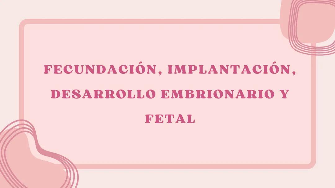 Fecundación, implantación, desarrollo embrionario y fetal
