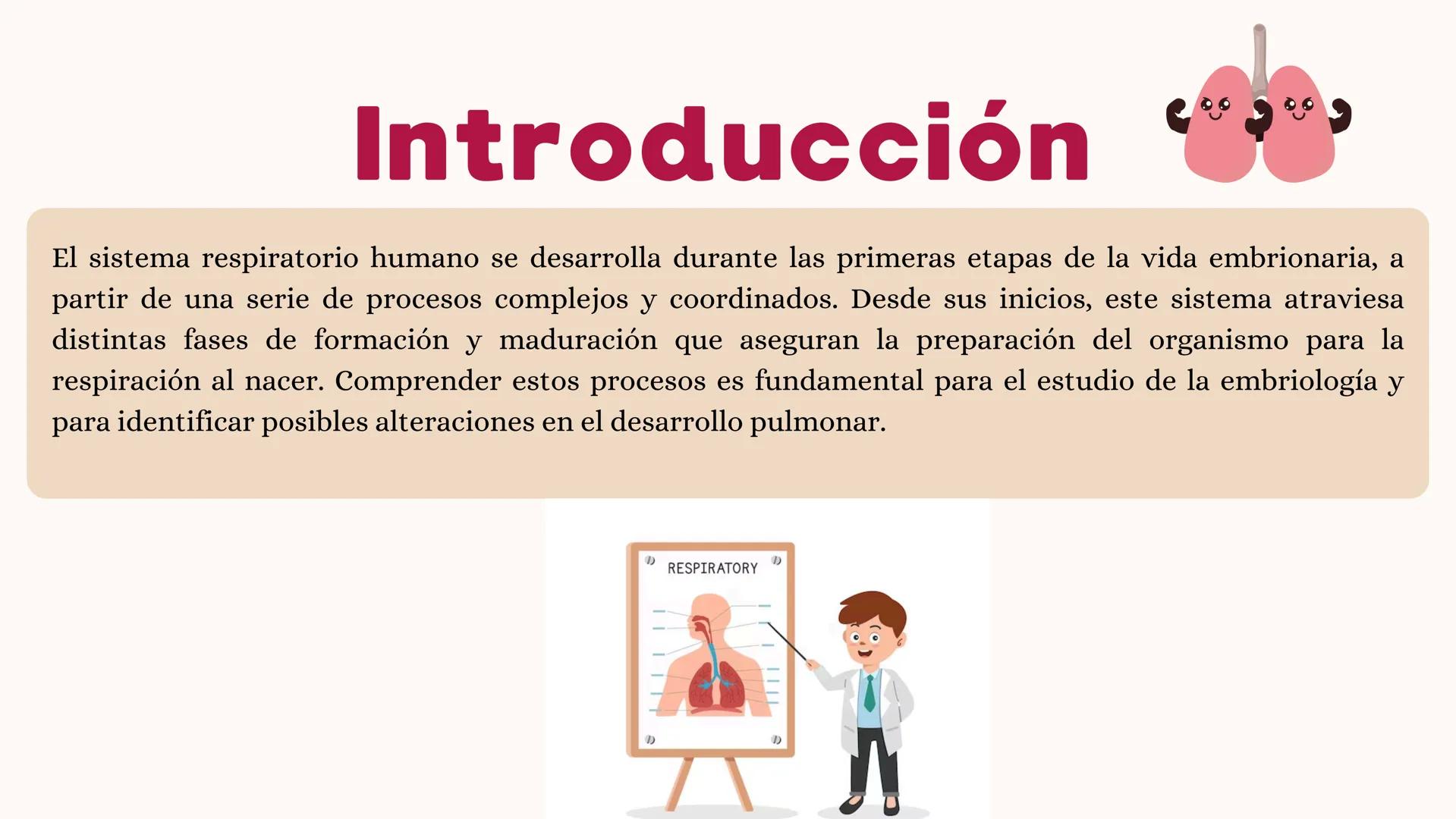 # UNIVERSIDAD
# POLITÉCNICA
DE QUINTANA ROO
Formando Triunfadores
Sistema
RESPIRATORIO
Lic. Terapia Física --- OCR Start ---
Embriología
In