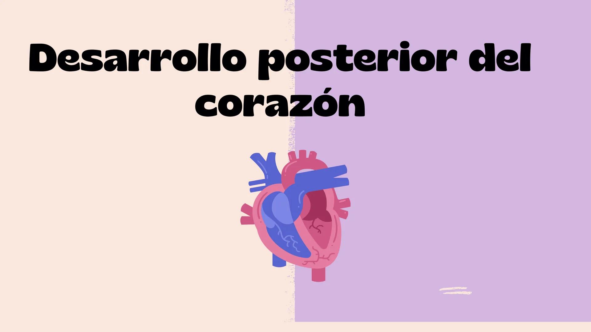 # Aparato cardiovascular
EN EL DESARROLLO EMBRIONARIO
UNIVERSIDAD
POLITÉCNICA
DE QUINTANA ROO
Formando Triunfadores.
Seno venoso
Arcos