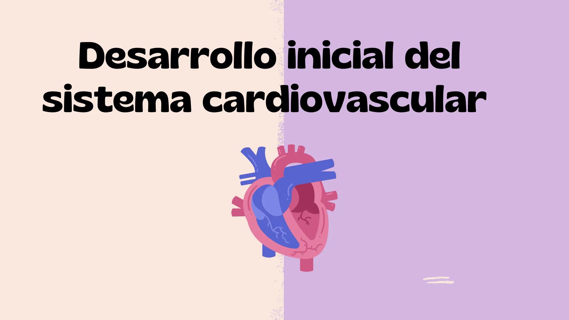 # Aparato cardiovascular
EN EL DESARROLLO EMBRIONARIO
UNIVERSIDAD
POLITÉCNICA
DE QUINTANA ROO
Formando Triunfadores.
Seno venoso
Arcos