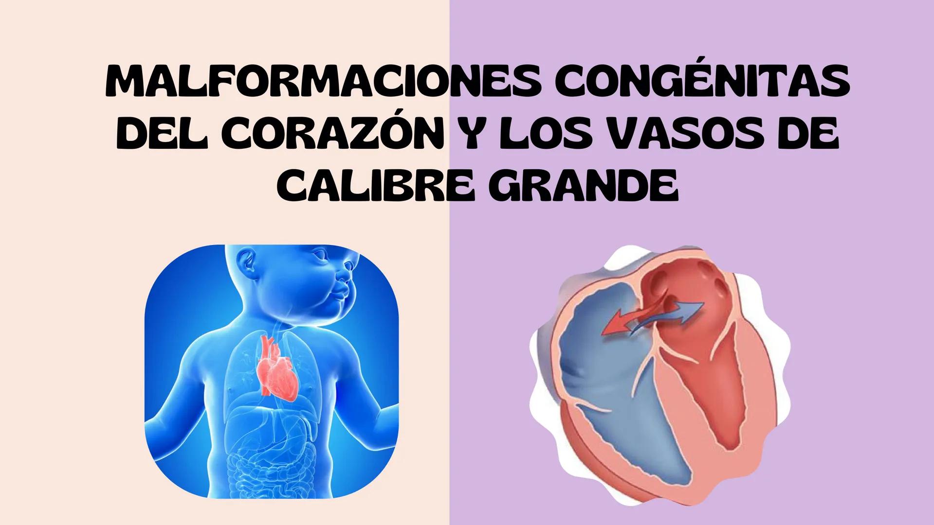 # Aparato cardiovascular
EN EL DESARROLLO EMBRIONARIO
UNIVERSIDAD
POLITÉCNICA
DE QUINTANA ROO
Formando Triunfadores.
Seno venoso
Arcos
