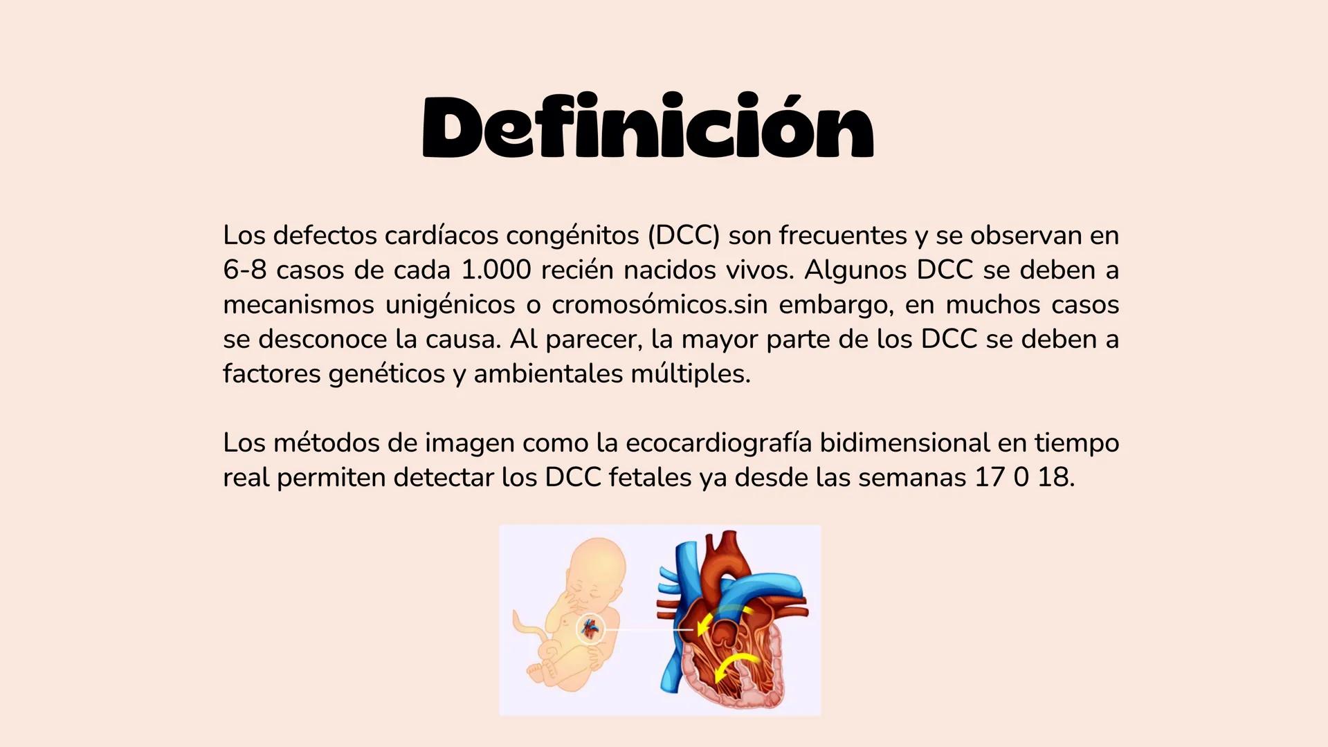 # Aparato cardiovascular
EN EL DESARROLLO EMBRIONARIO
UNIVERSIDAD
POLITÉCNICA
DE QUINTANA ROO
Formando Triunfadores.
Seno venoso
Arcos