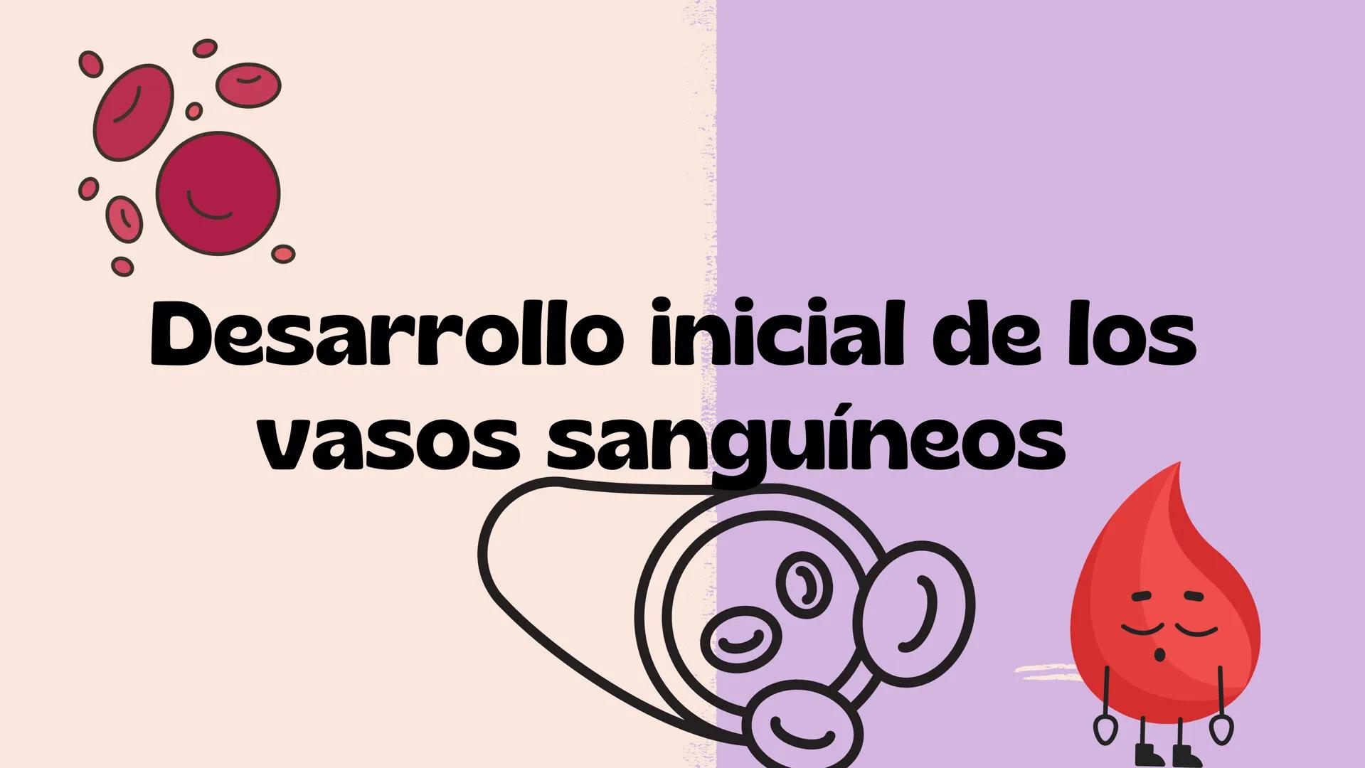 # Aparato cardiovascular
EN EL DESARROLLO EMBRIONARIO
UNIVERSIDAD
POLITÉCNICA
DE QUINTANA ROO
Formando Triunfadores.
Seno venoso
Arcos