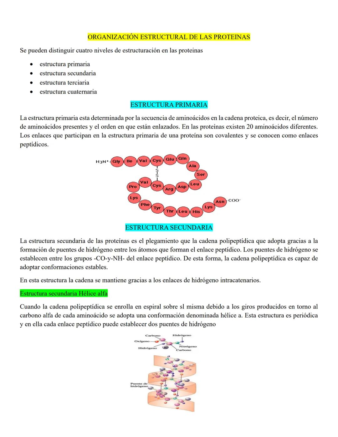 # PEPTIDOS
Un péptido es una molécula que resulta de la unión de dos o más aminoácidos mediante enlaces peptídico.
Cuando el péptido está