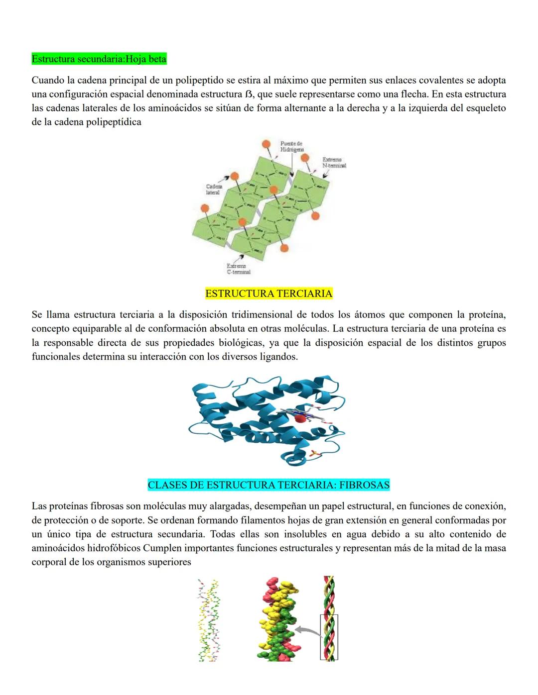 # PEPTIDOS
Un péptido es una molécula que resulta de la unión de dos o más aminoácidos mediante enlaces peptídico.
Cuando el péptido está