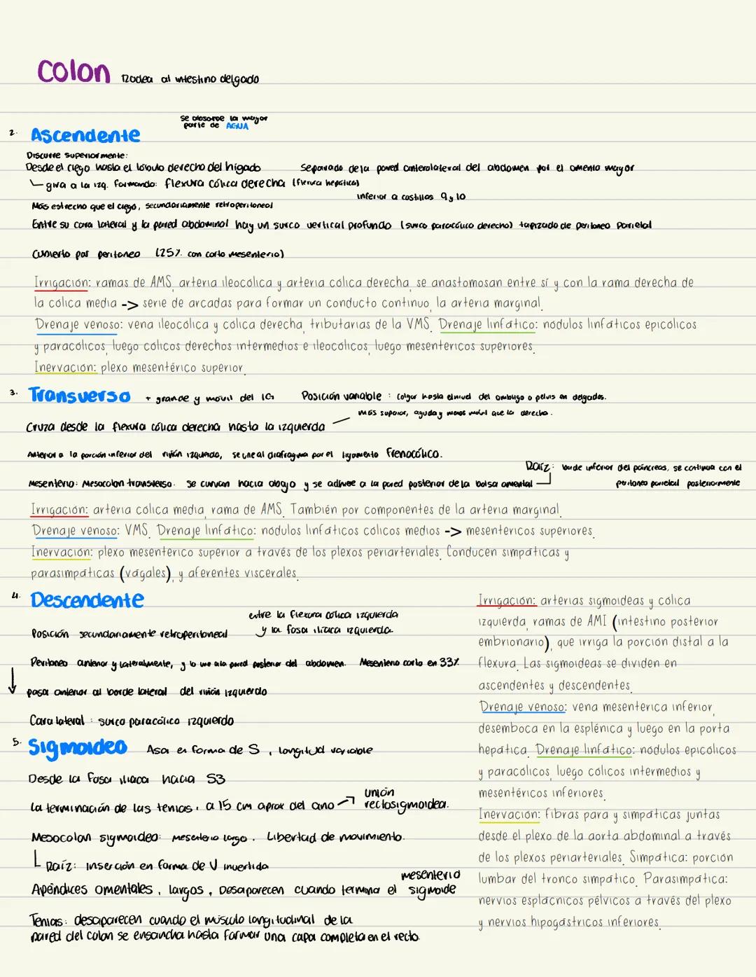 --- OCR Start ---
INTESTINO DELGADO
/
2 cledos
duodeno
mayor absorción
Porción inicial y más corta (25 cm), mas andha y fya
Iniva pilora. Te